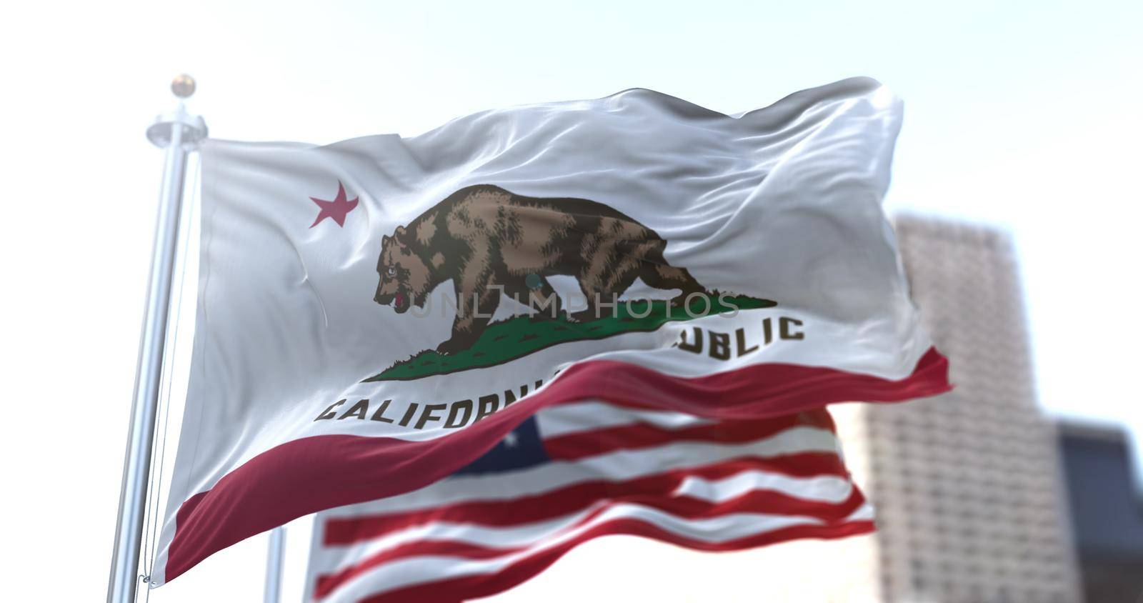 The California Republic flag with the grizzly bear Monarch flying along with the American national star-striped flag. by rarrarorro