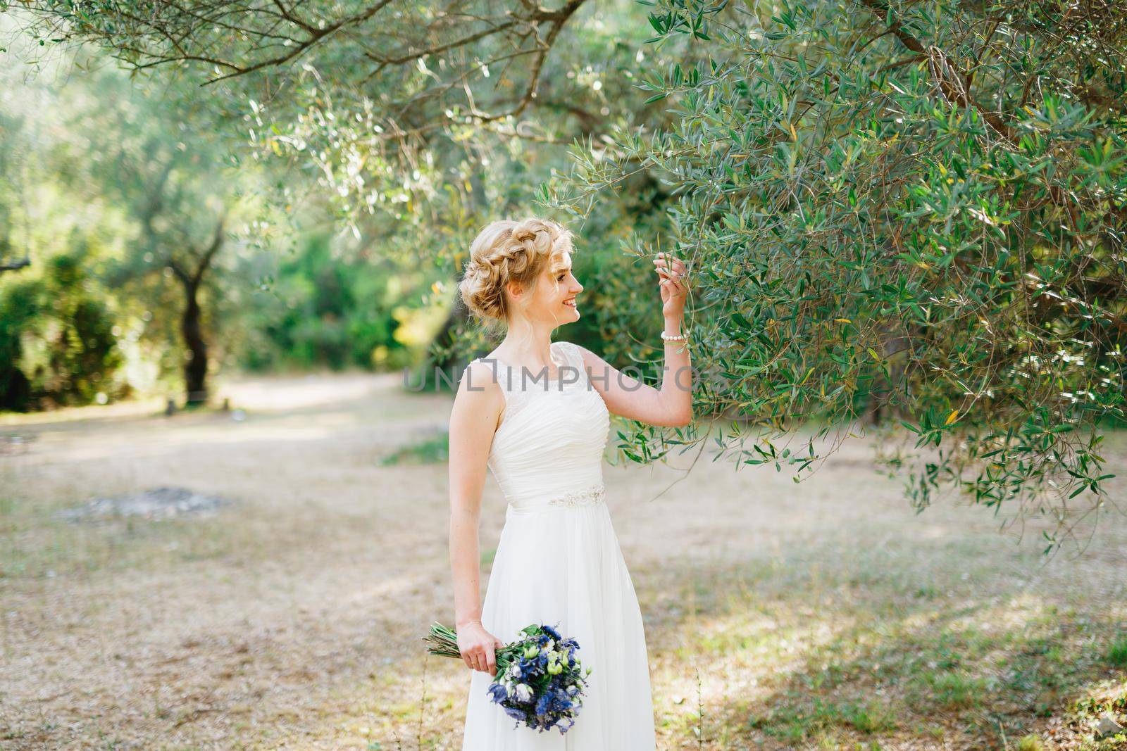 A tender bride with a bouquet of blue flowers stands by an olive tree and touches the branches with her hand . High quality photo