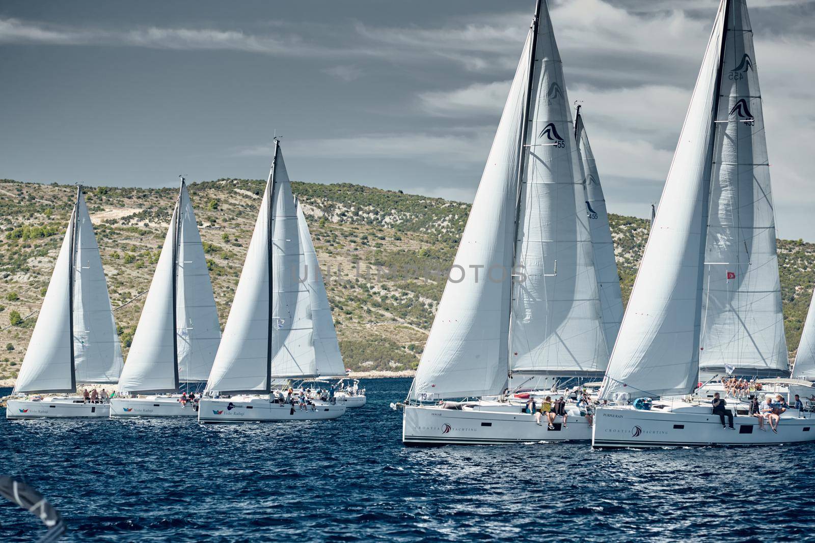 Croatia, Adriatic Sea, 18 September 2019: Sailboats compete in a sail regatta, sailboat race, reflection of sails on water, number of boat is on aft boats, island is on background, clear weather by vladimirdrozdin