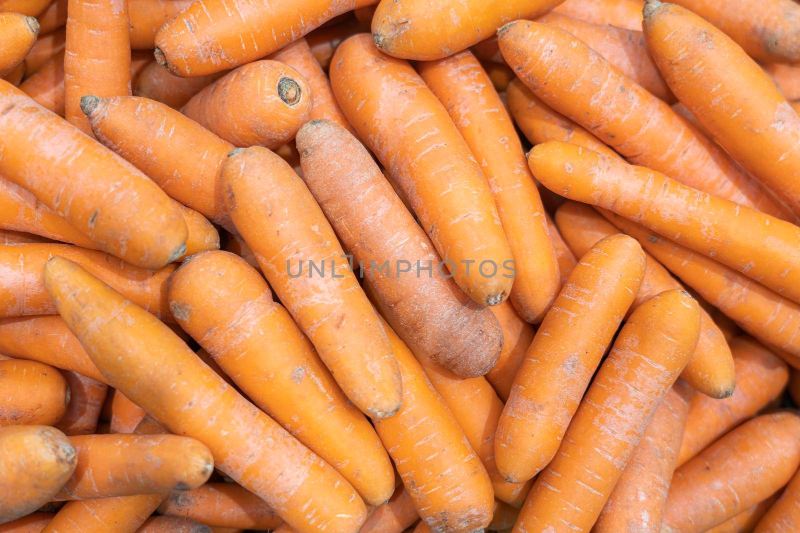 ripe carrots close up on the shelves of supermarket stores. High quality photo