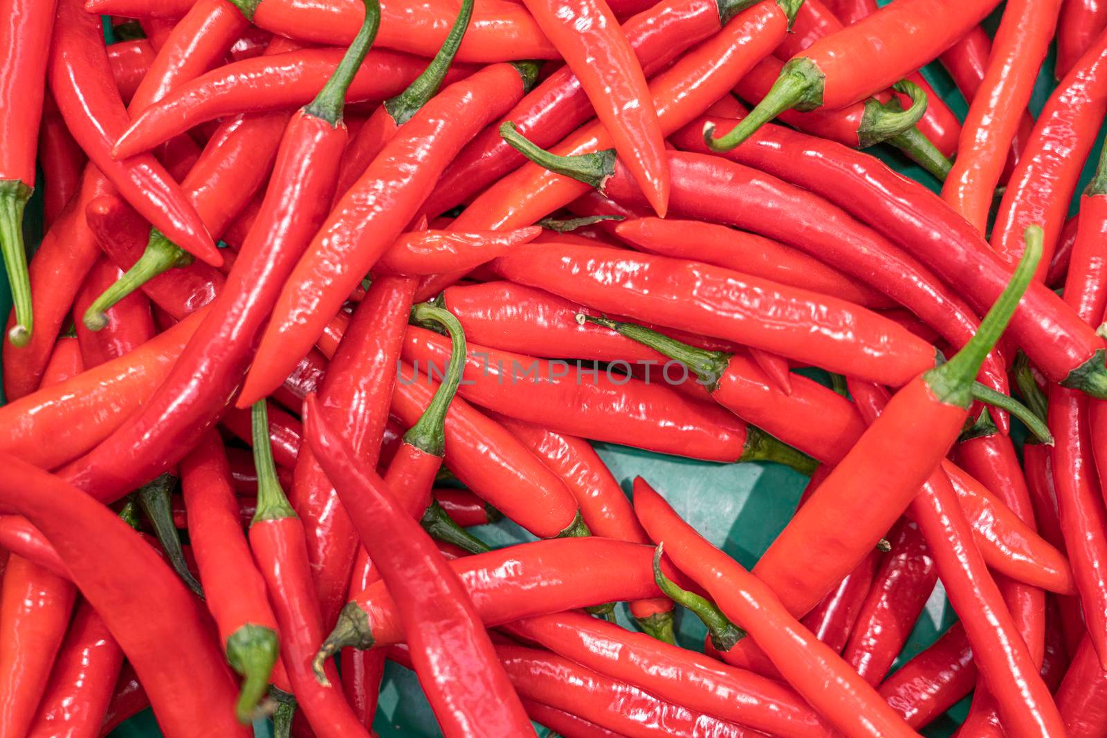 red hot pepper close-up on the shelves of supermarket stores by roman112007