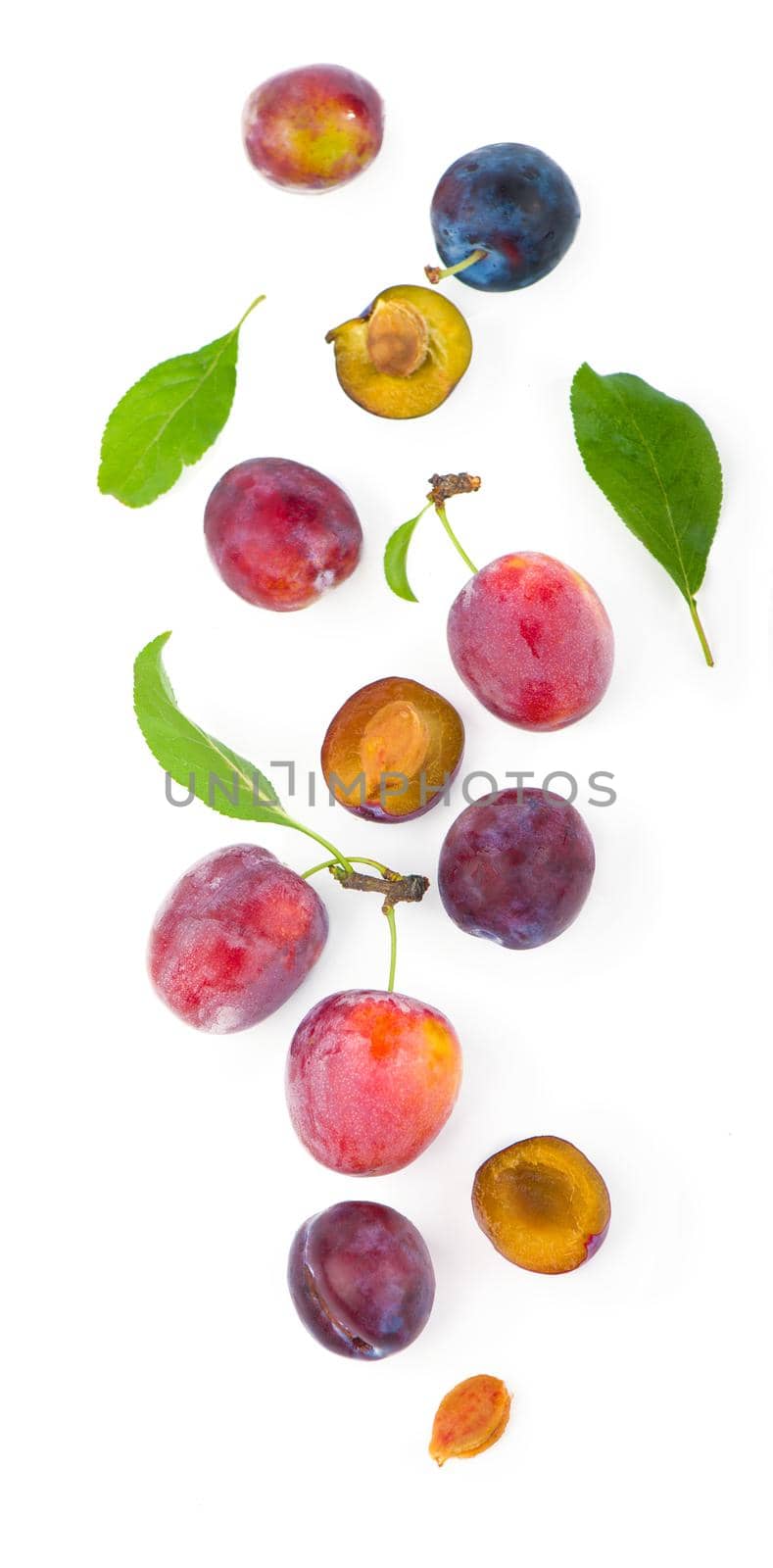 Ripe plums with leaves close up on white background.