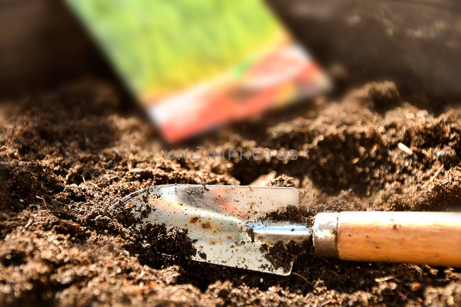 shovel in a pot with earth and seed packet