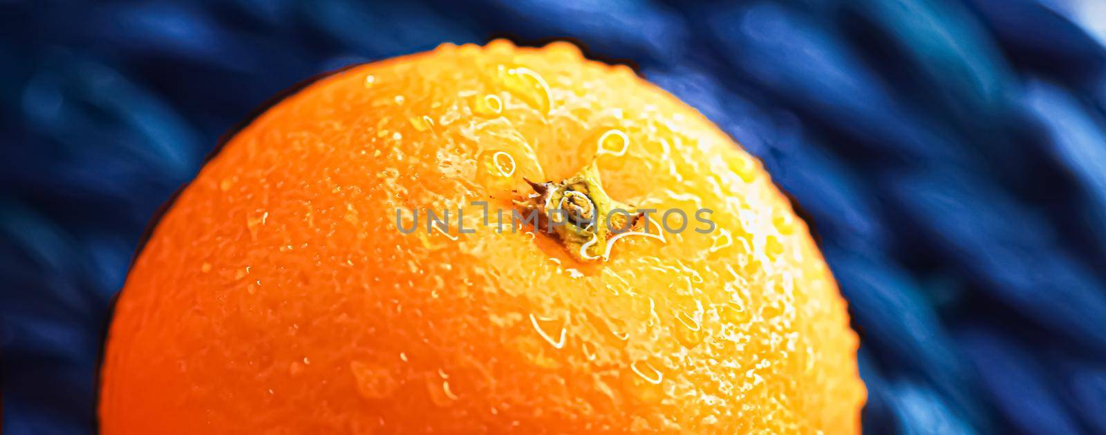 Organic oranges fresh from the garden, healthy food and fruits closeup