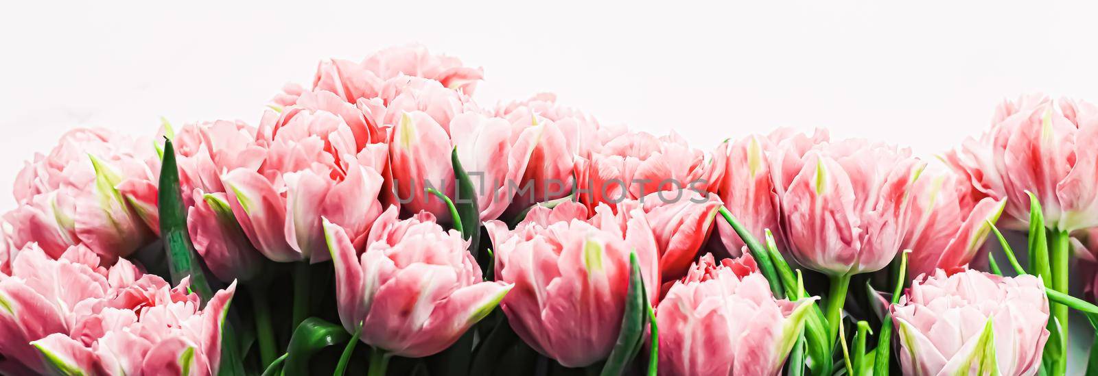 Spring flowers on marble background as holiday gift and floral flatlay concept