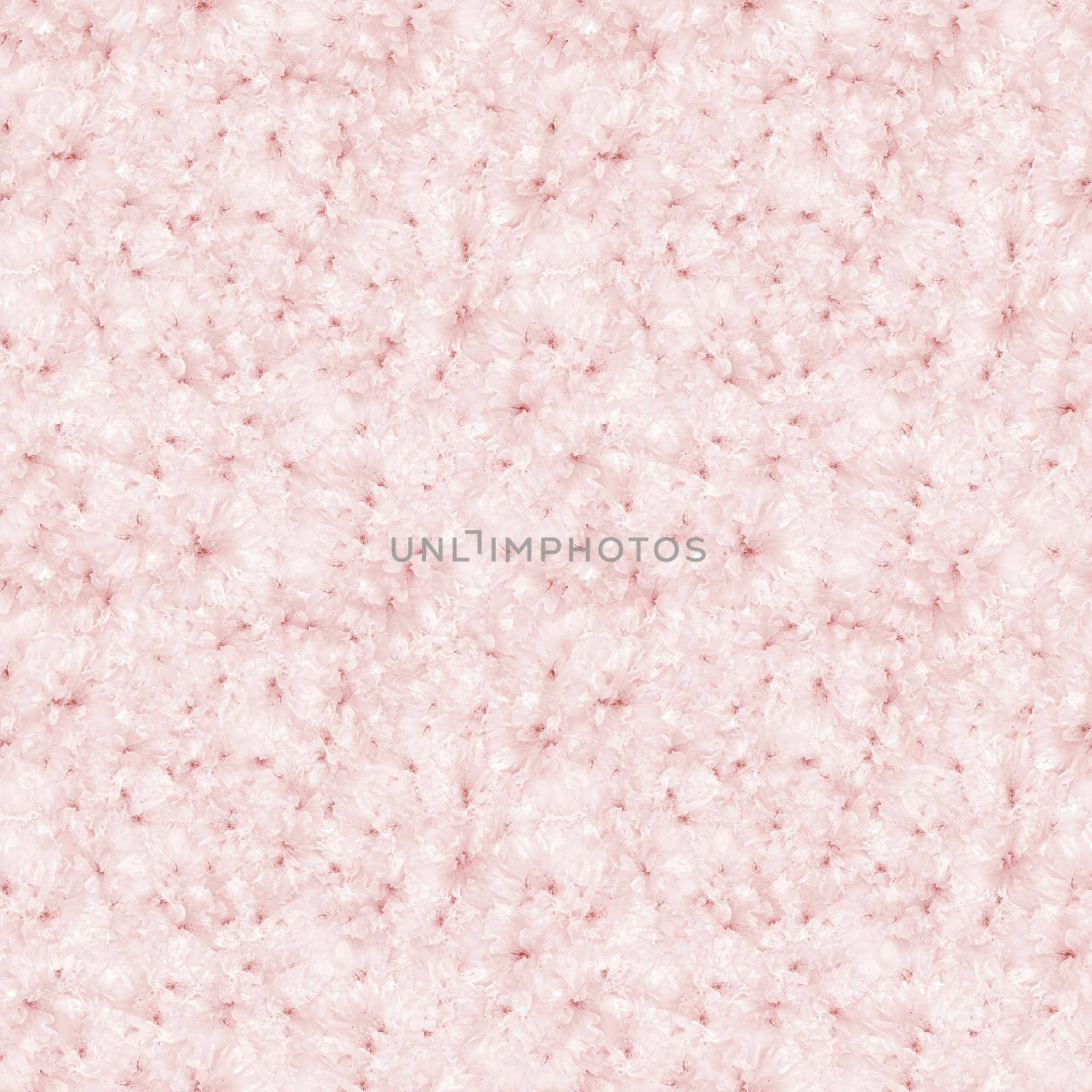 Seamless pattern of sakura flowers. Blossoming sakura tree. Nature floral background