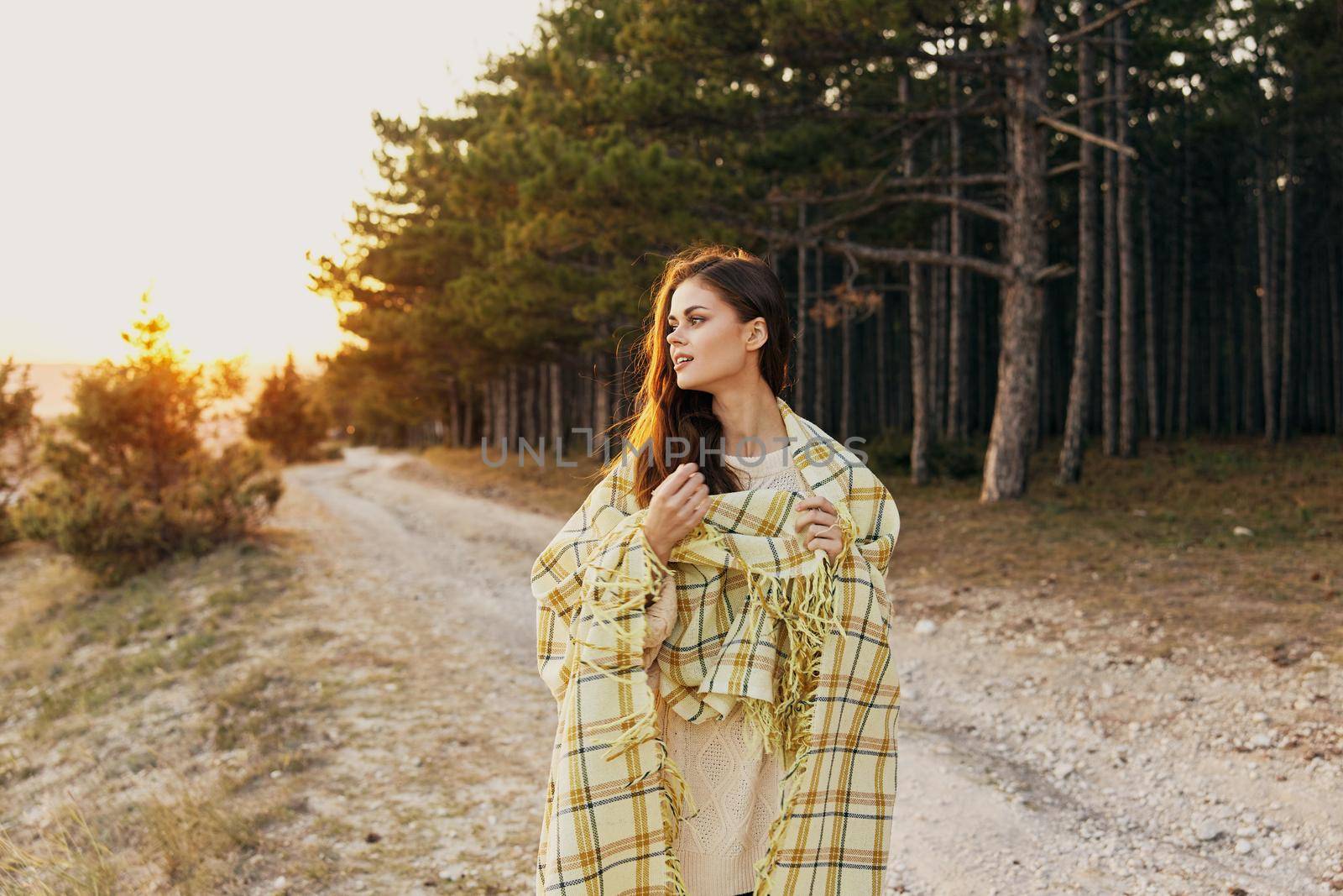 Romantic traveler near the coniferous forest on the road at sunset. High quality photo