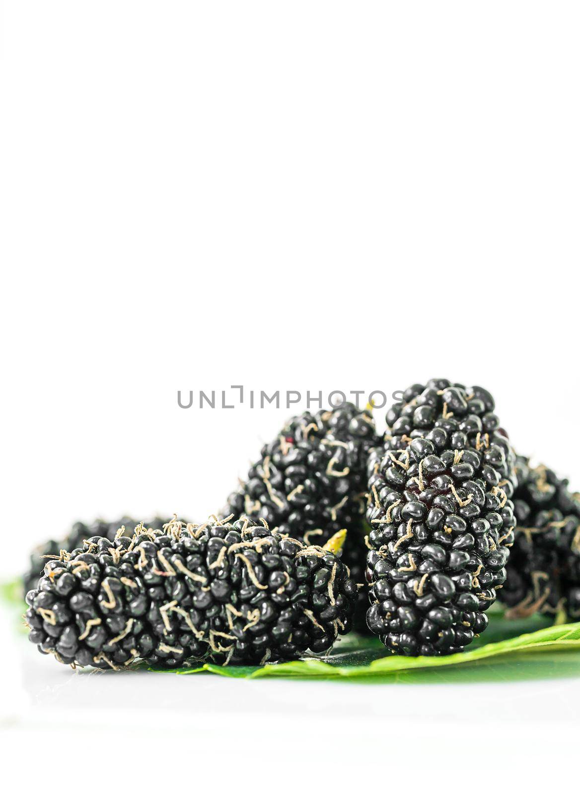 Close up mulberry with green leaf on the white background