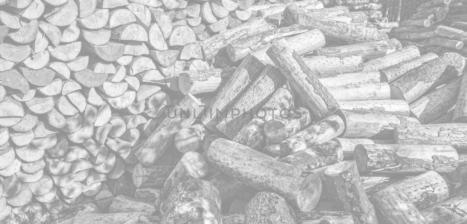 Pile of wood logs by palinchak