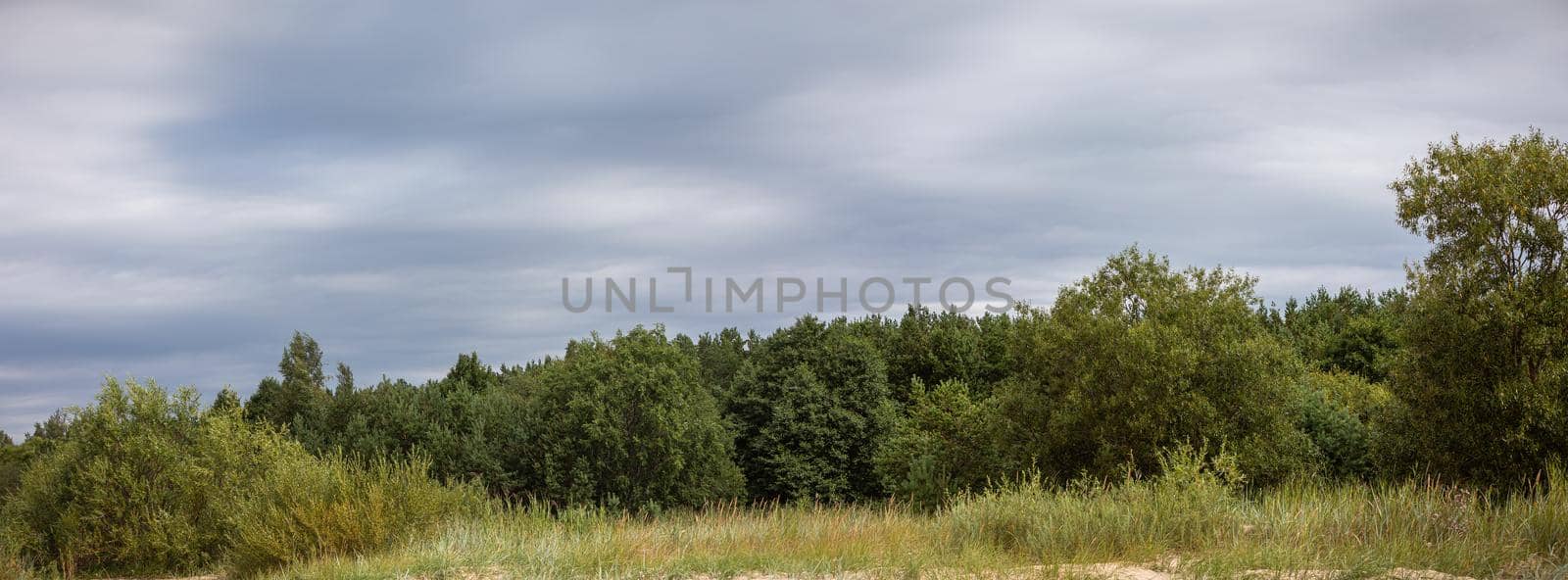 Classical Baltic beach landscape. Wild nature