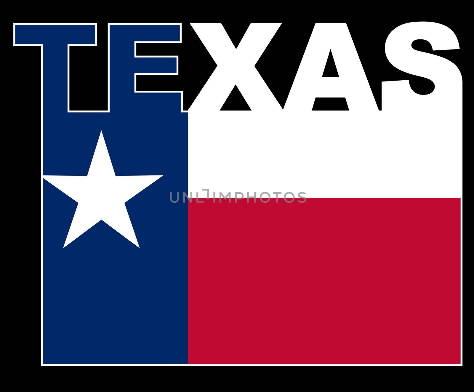 Texas Text Flag by Bigalbaloo