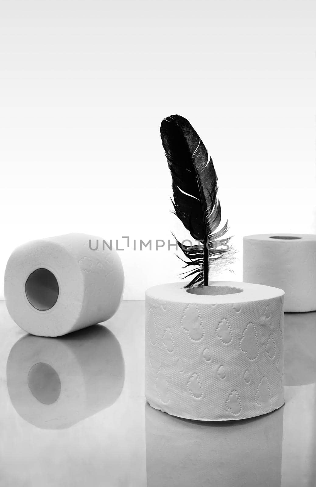 Toilet paper and a bird feather, a symbol of soft touch. by georgina198