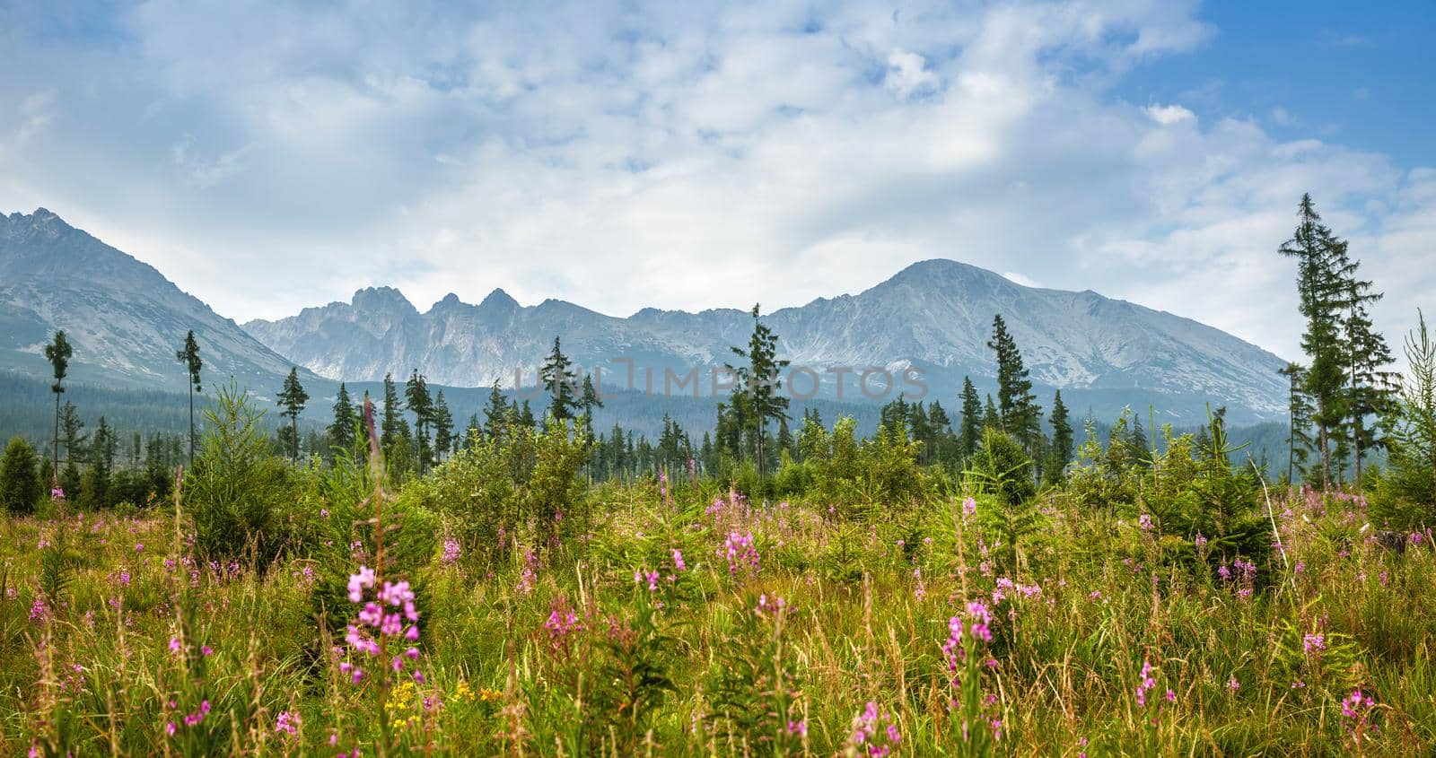 Mountains in National Park High Tatra. Slovakia, Europe. Focus om mountins