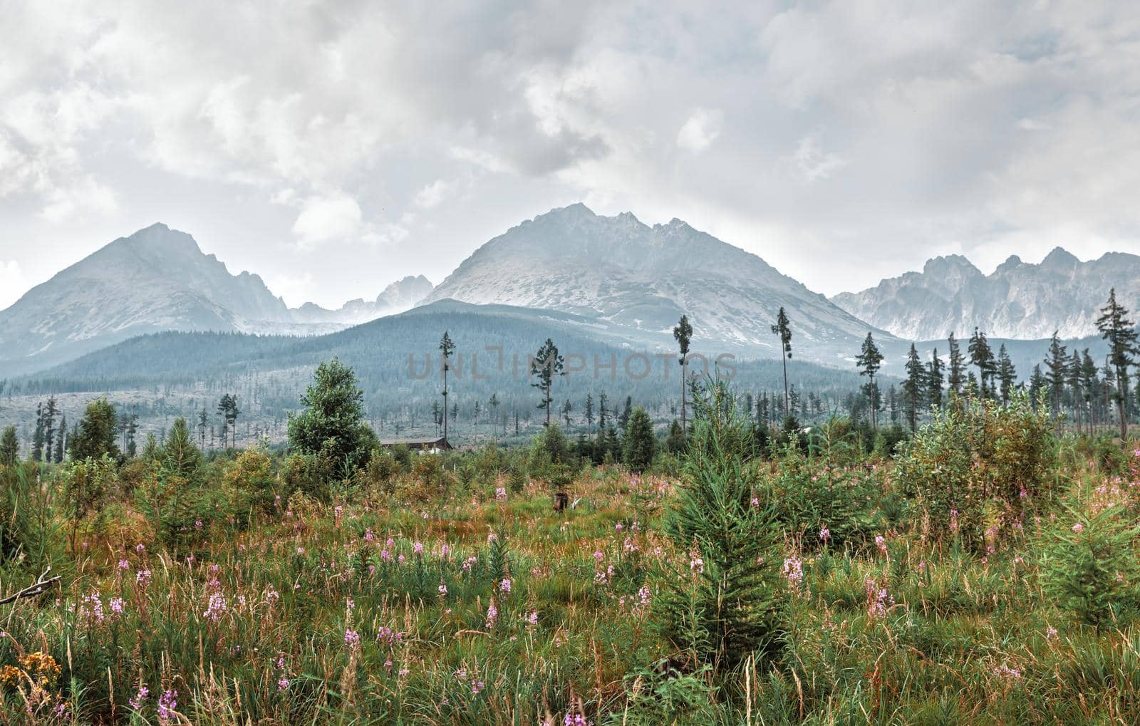 Mountains in National Park High Tatra. Slovakia, Europe