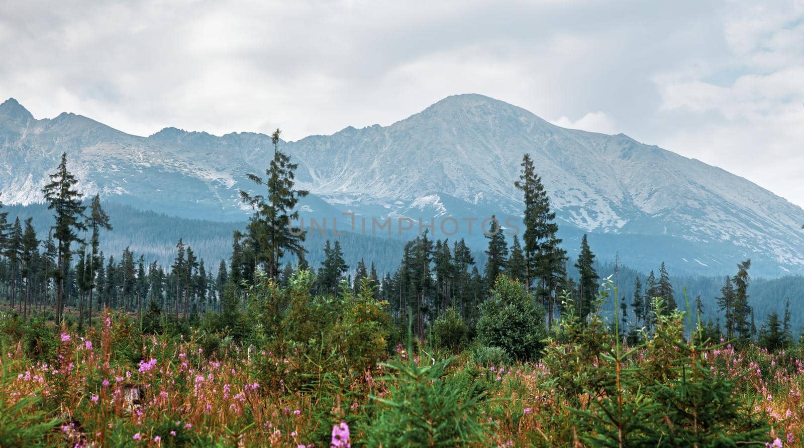 Mountains in National Park High Tatra. Slovakia, Europe