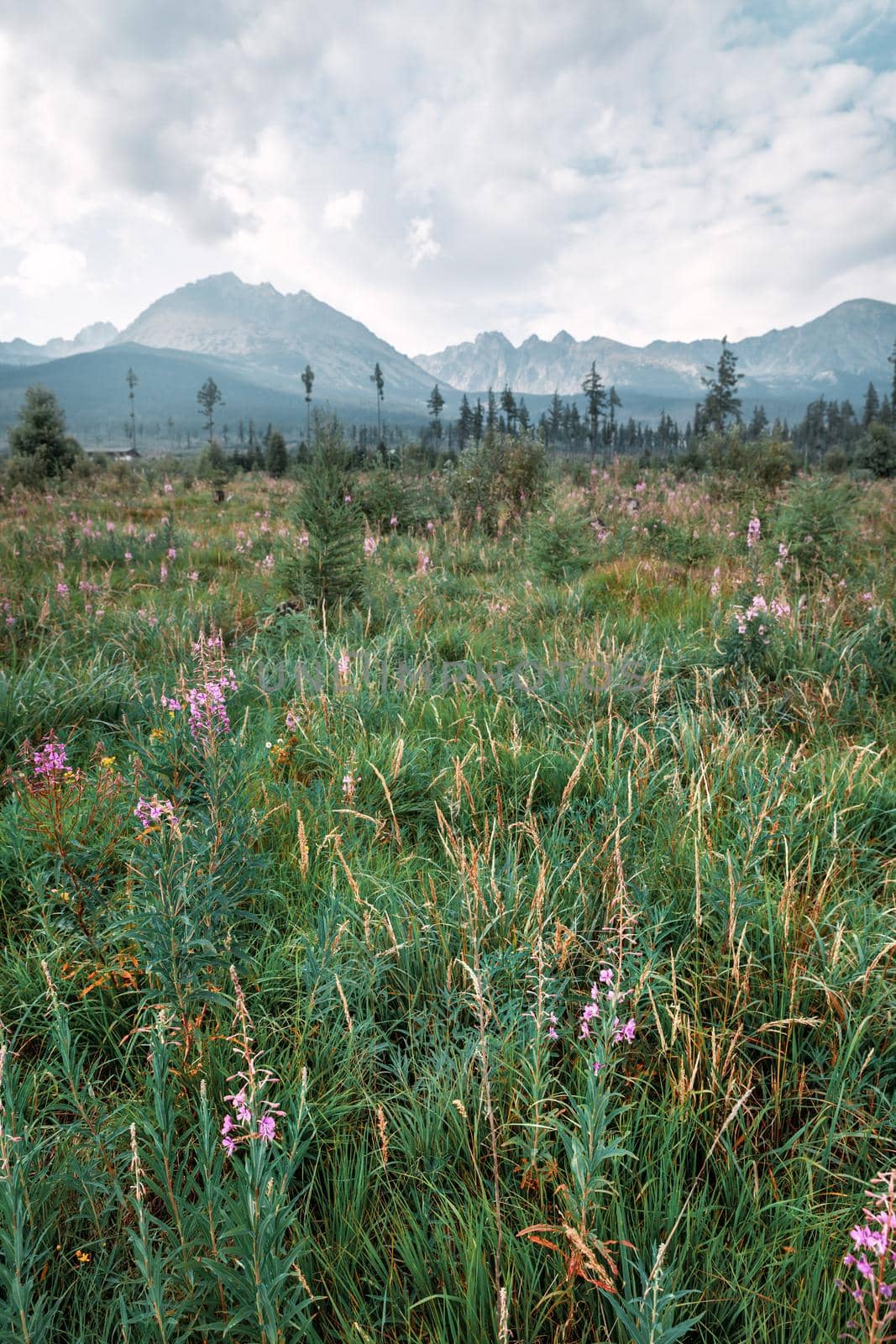Mountains in National Park High Tatra. Slovakia, Europe
