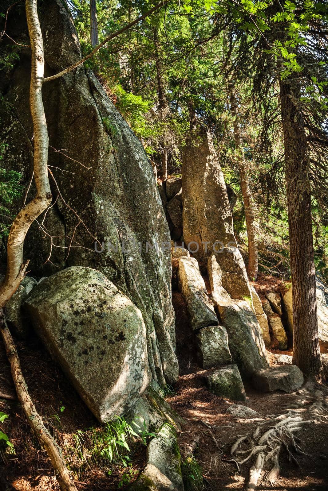 Stones on a mountain trail in the High Tatras. Slovakia. Europe.