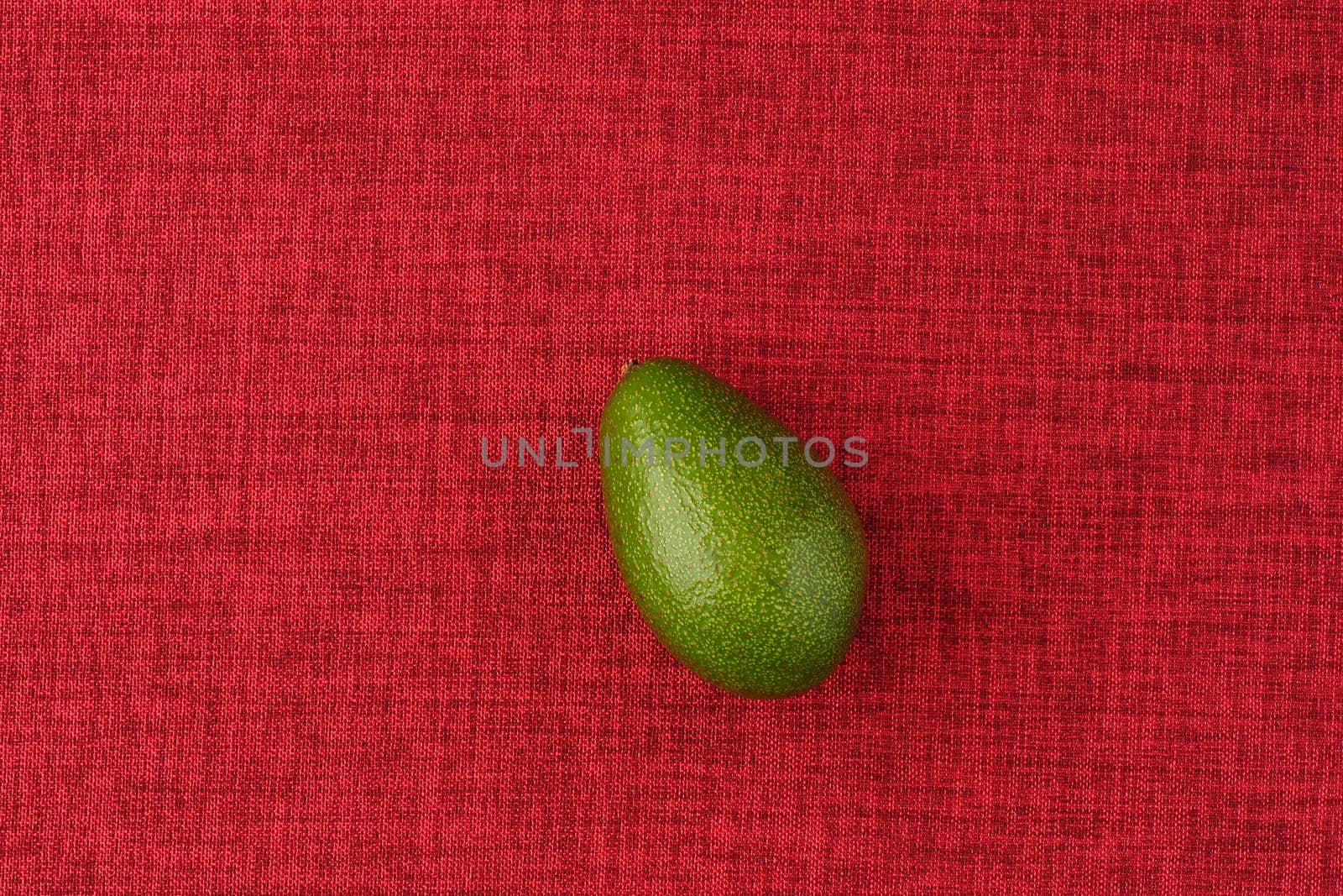 Avocado. A ripe green oval fruit on a red background. High quality photo