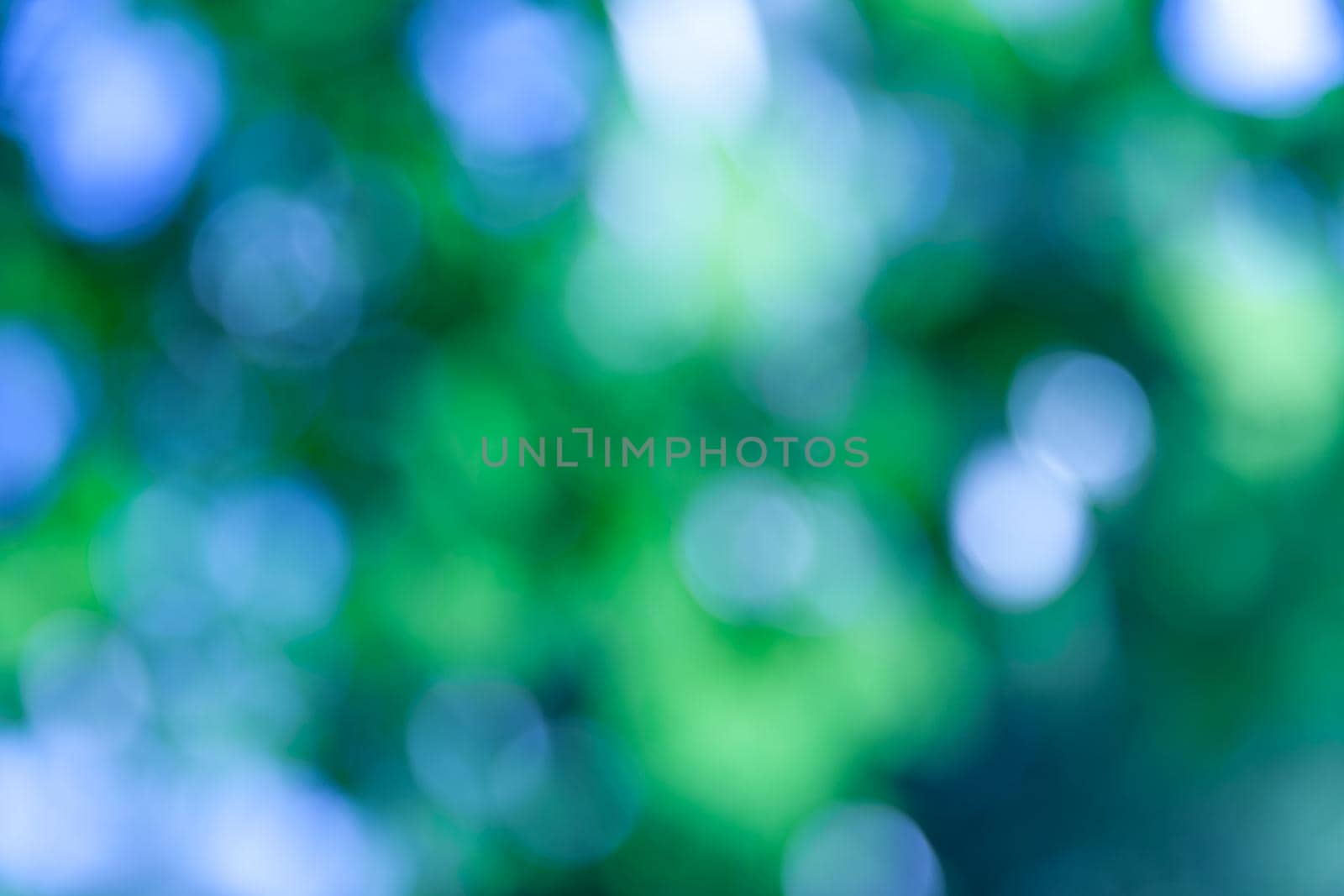 Nature abstract background. Defocused bokeh background. Natural blurred background with trees, leaves and glare of sunlight