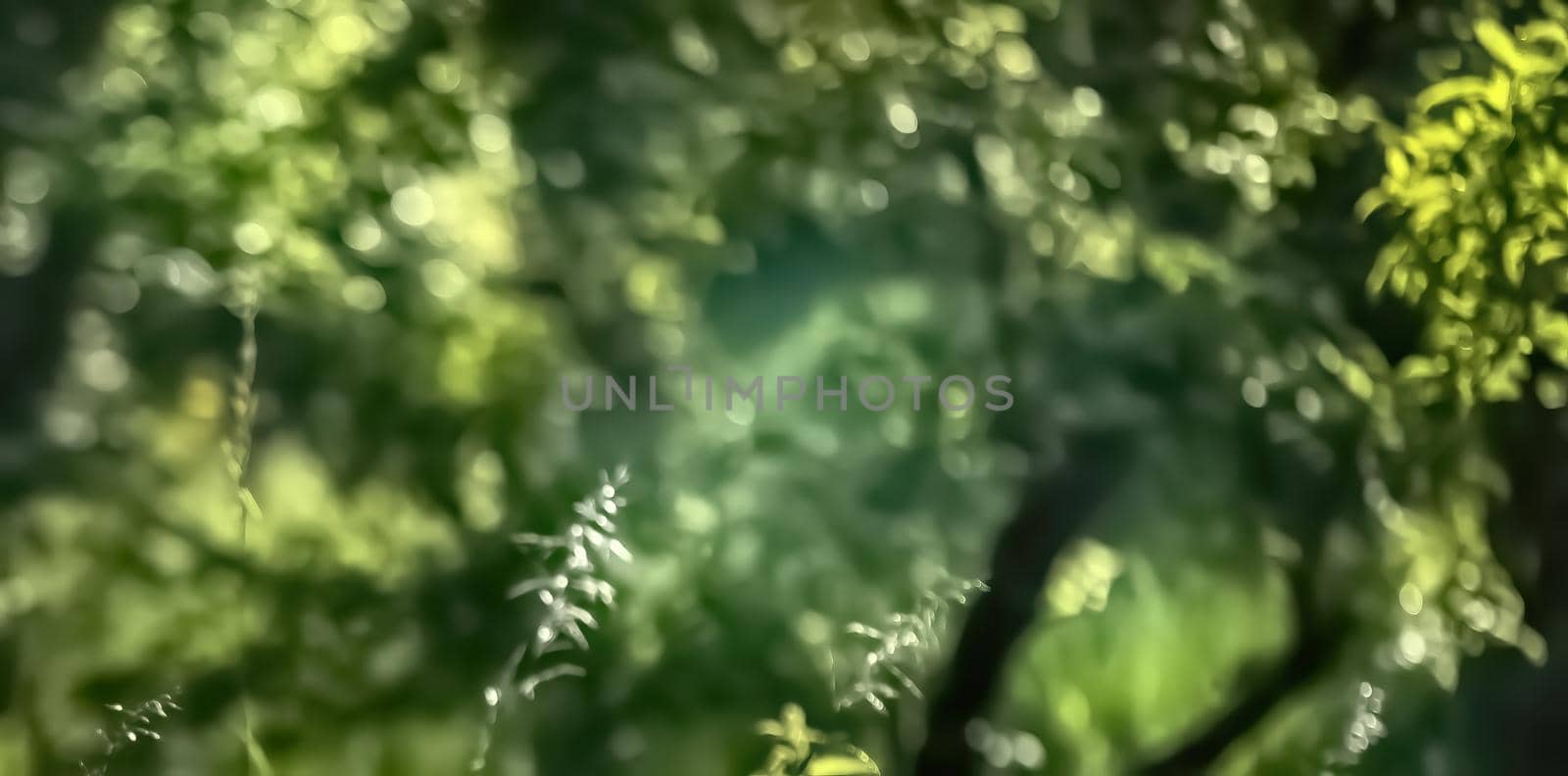 Natural background concept. Nature bokeh background with lights and blurs. Abstract grass background with copyspace for your text or advertisment