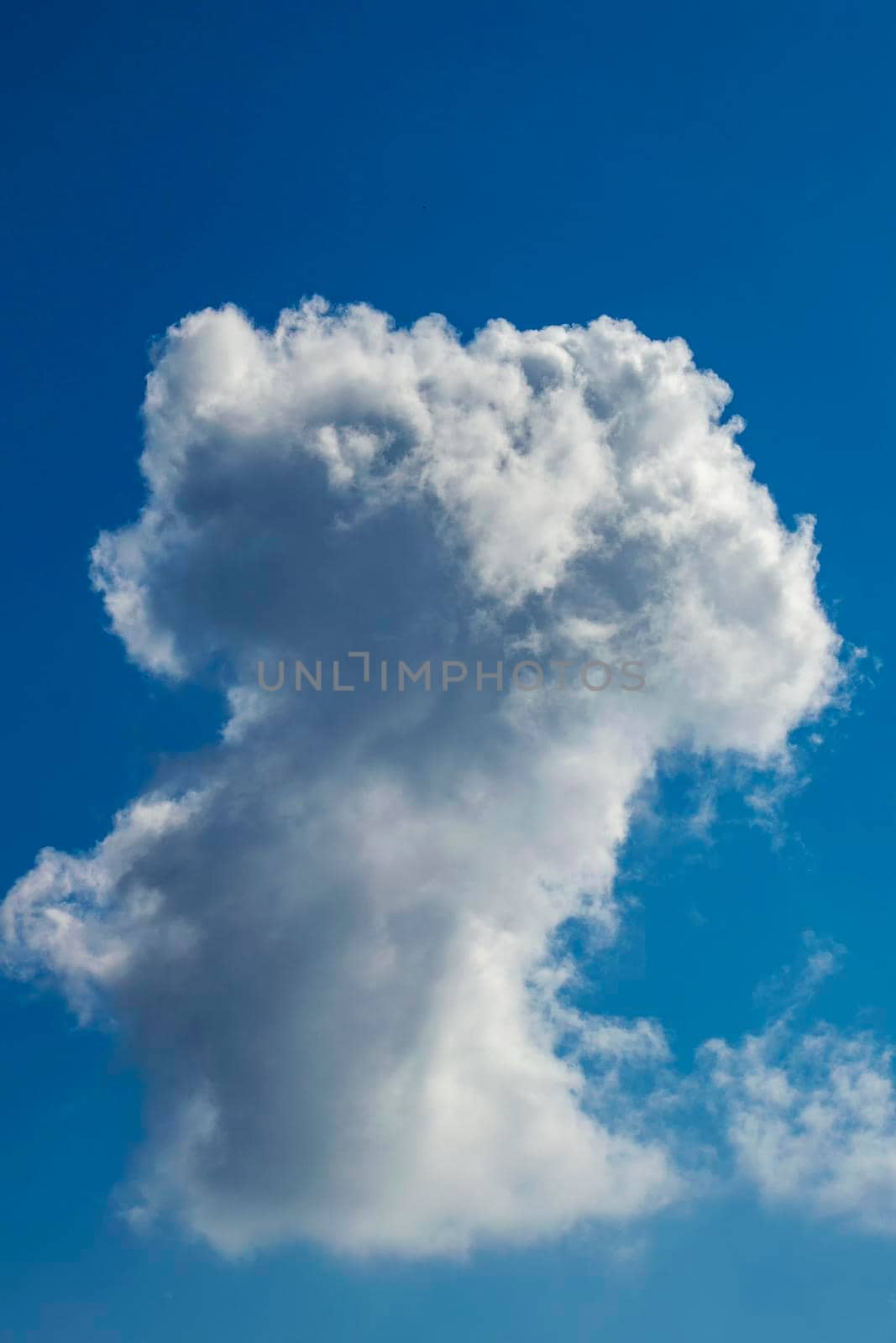 Beautiful lonely cloud. Sunny summer day. Front view. by Essffes