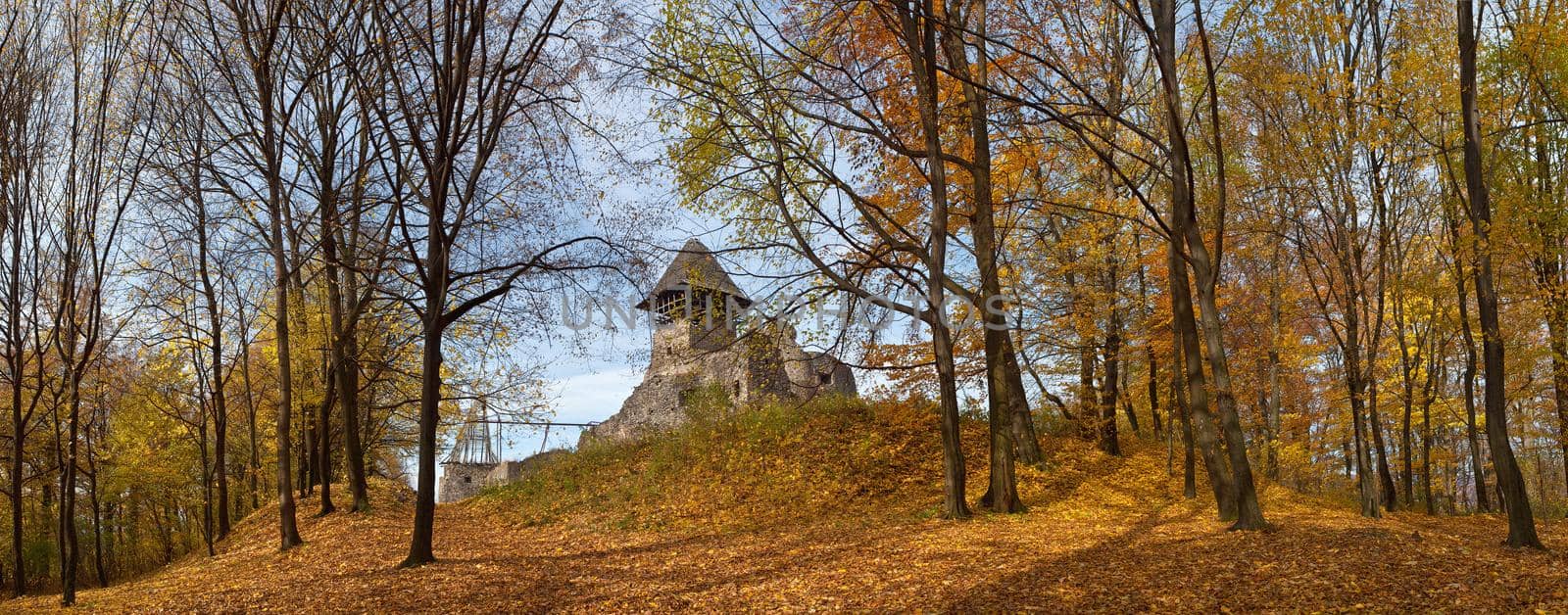 Old castle in autumn forest. Ukraine, Europe