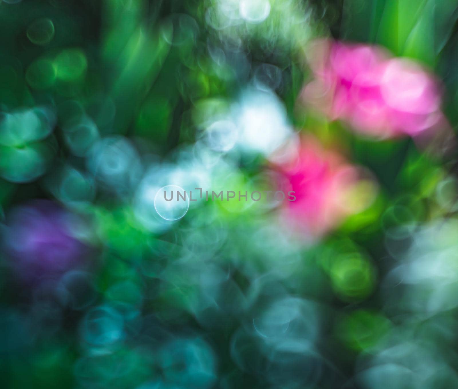 Natural background. Abstract blurred image of a spring garden with defocused spots of flowers in the rays of sunlight. Bokeh background. Element of design