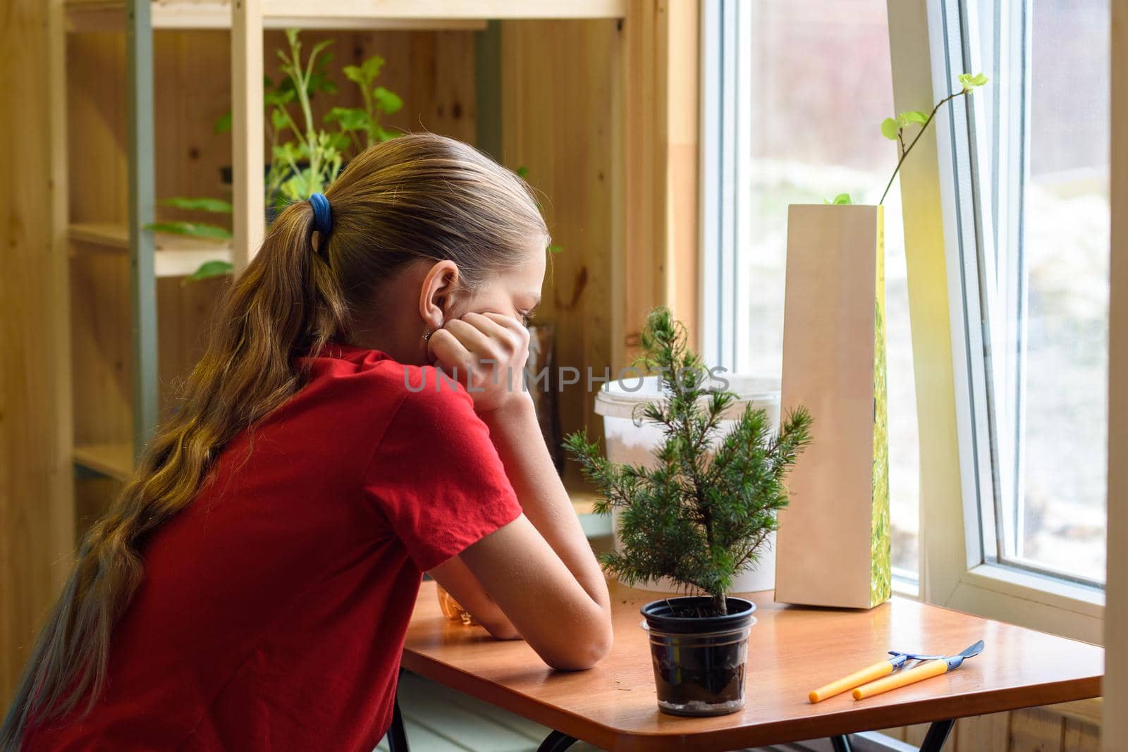 A girl sits by the window at a table on which there are garden plants and is waiting for spring by Madhourse