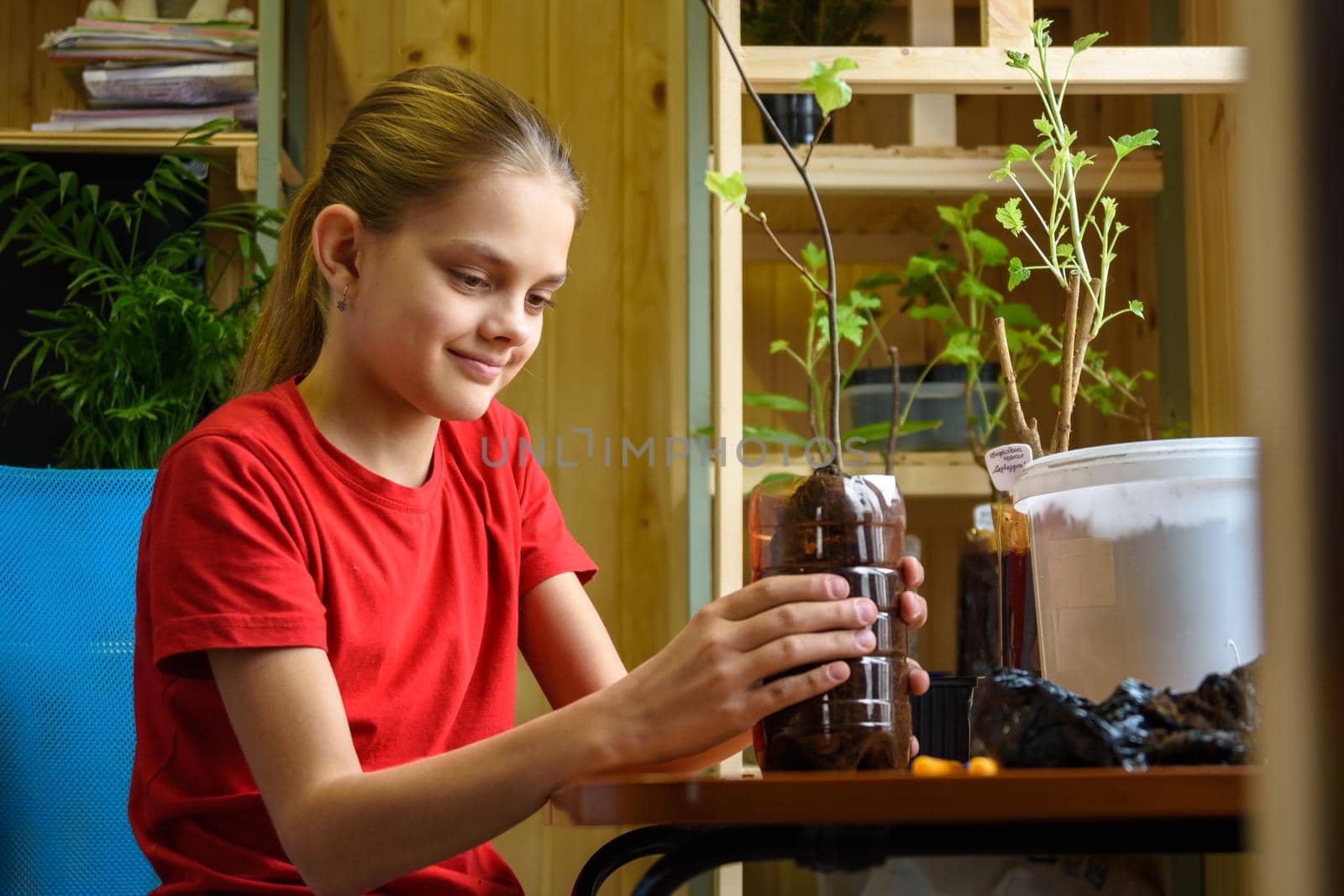 A girl in a country house setting transplants seedlings of garden plants into plastic bottles by Madhourse