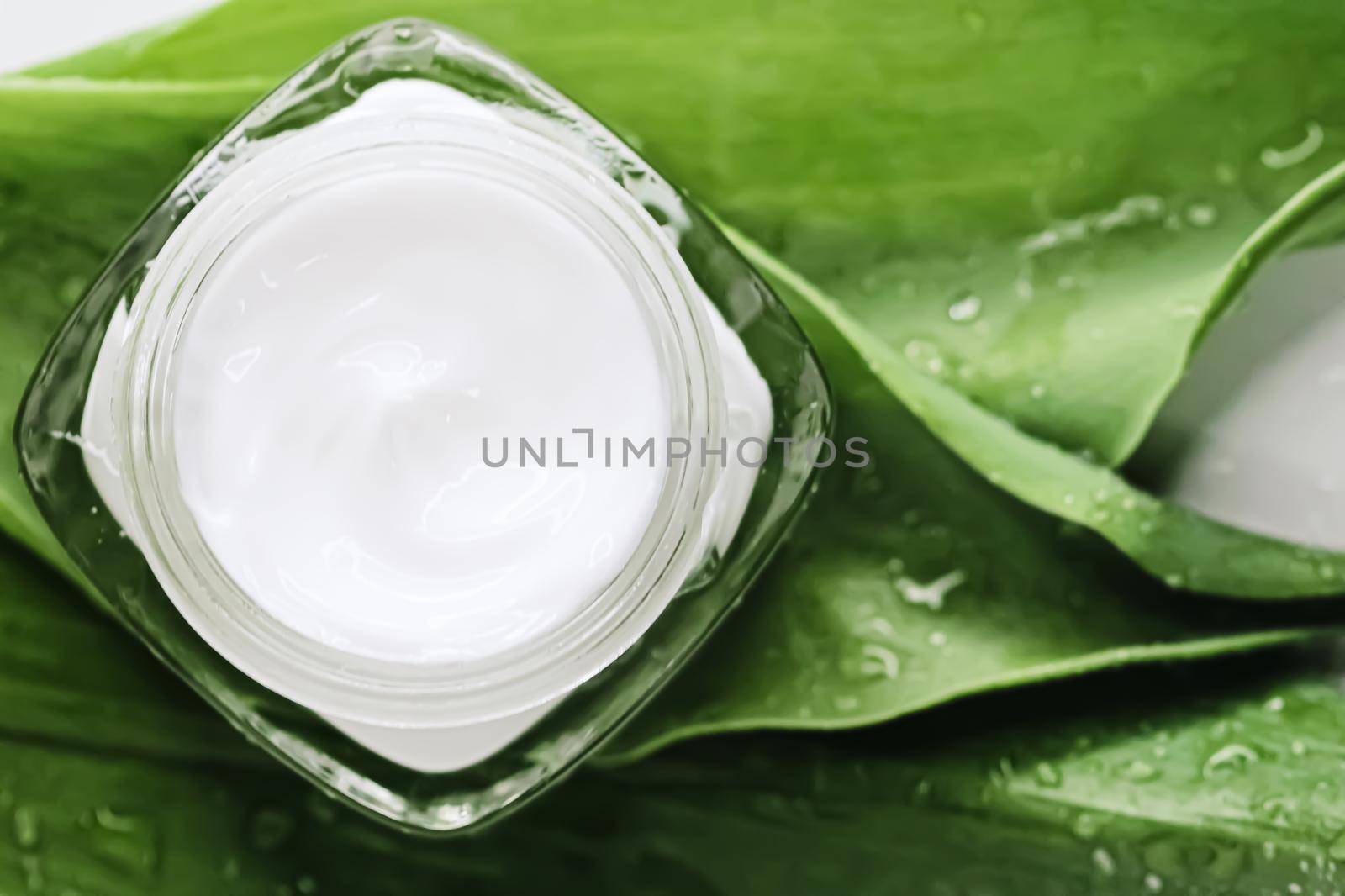 Natural moisturising cream jar on green leaves as beauty flatlay, spa cosmetics and skincare closeup