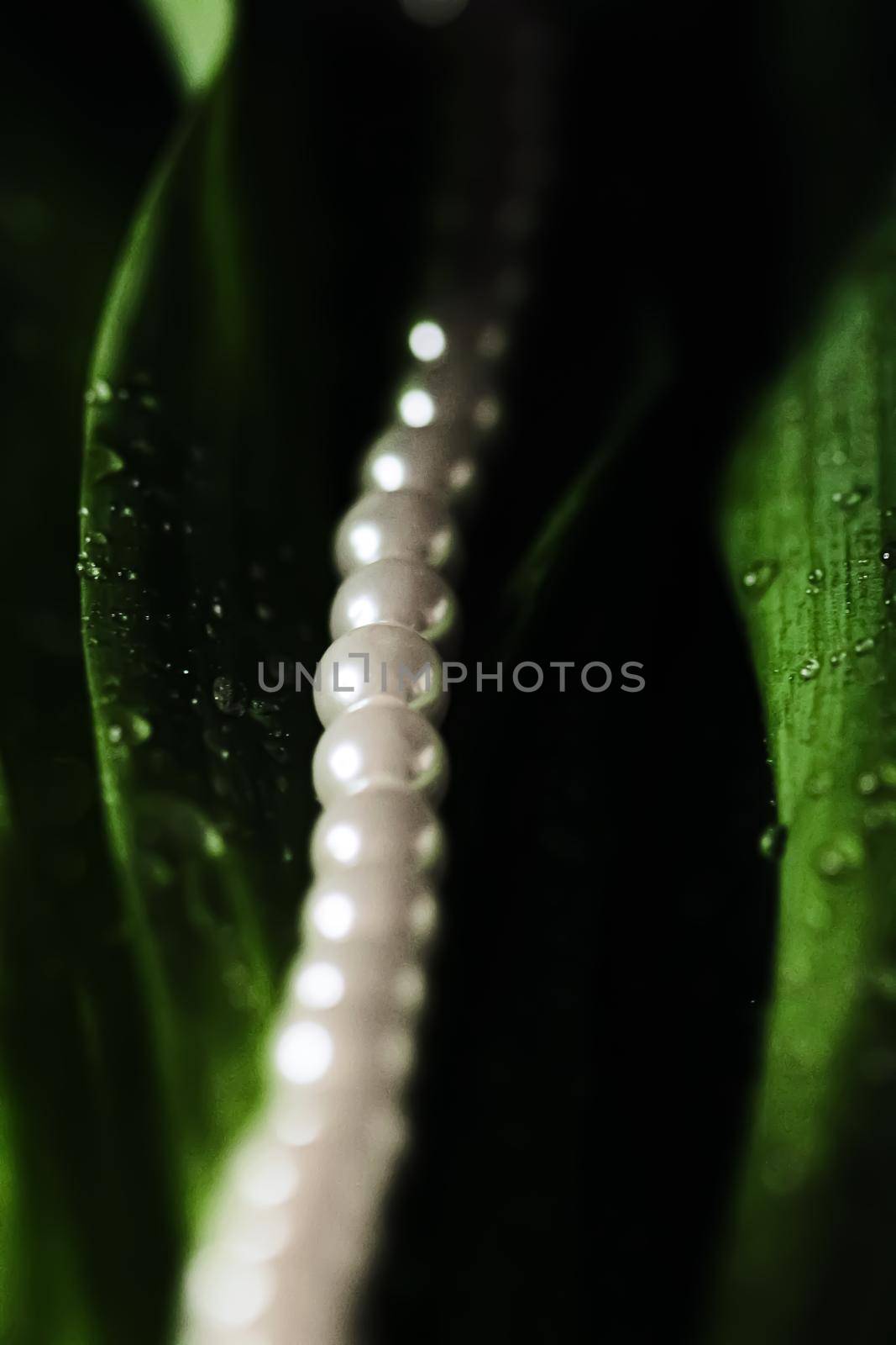 Pearls in exotic green leaves, luxury jewellery closeup