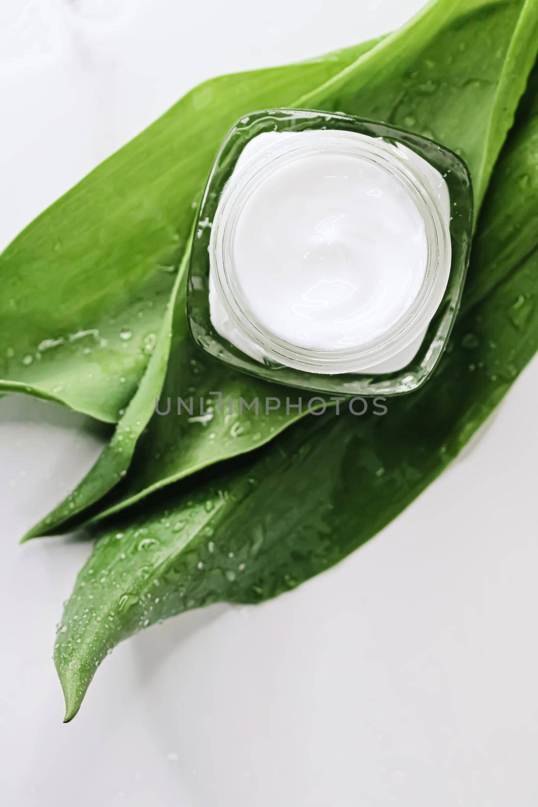 Natural moisturising cream jar on green leaves as beauty flatlay, spa cosmetics and skincare closeup