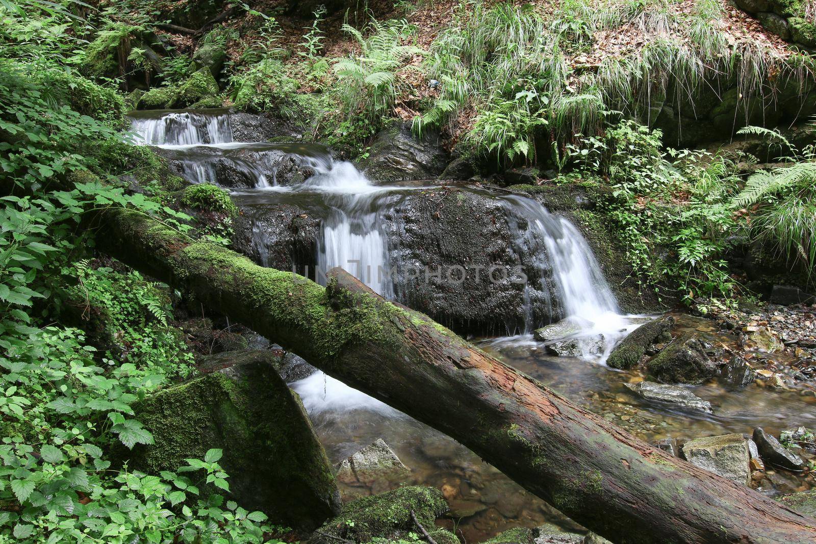 Waterfall on the Silver Brook, Czech Republic by Mibuch