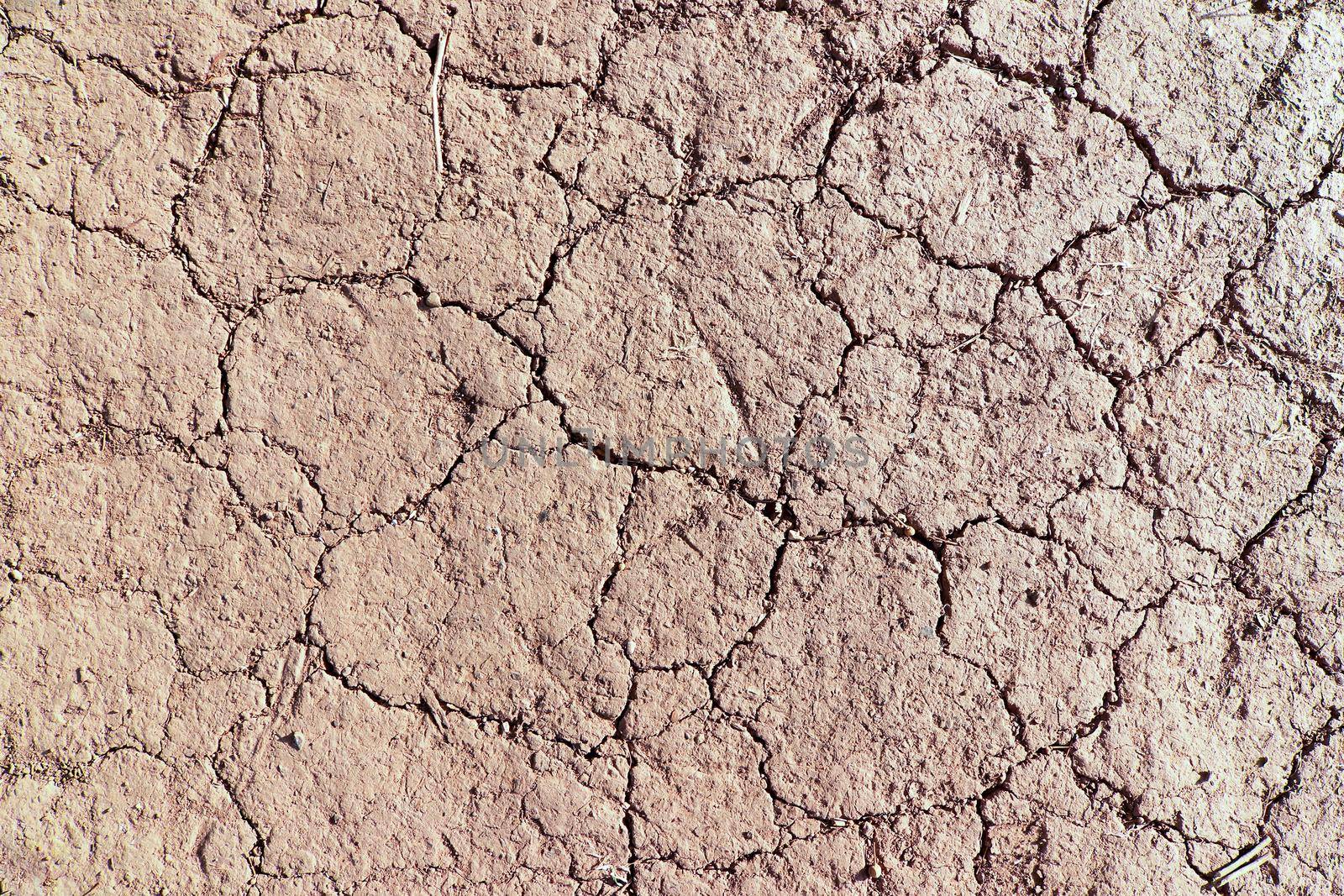 Detail of the cracked dried ground - dry season
