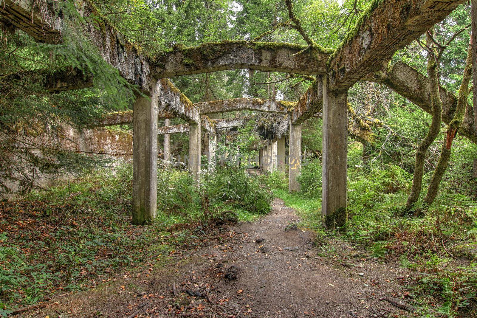 Former mine Rolava older name was Sauersack. After the war the mine dilapidated and today there are only ruins. Ore Mountains, Czech Republic.