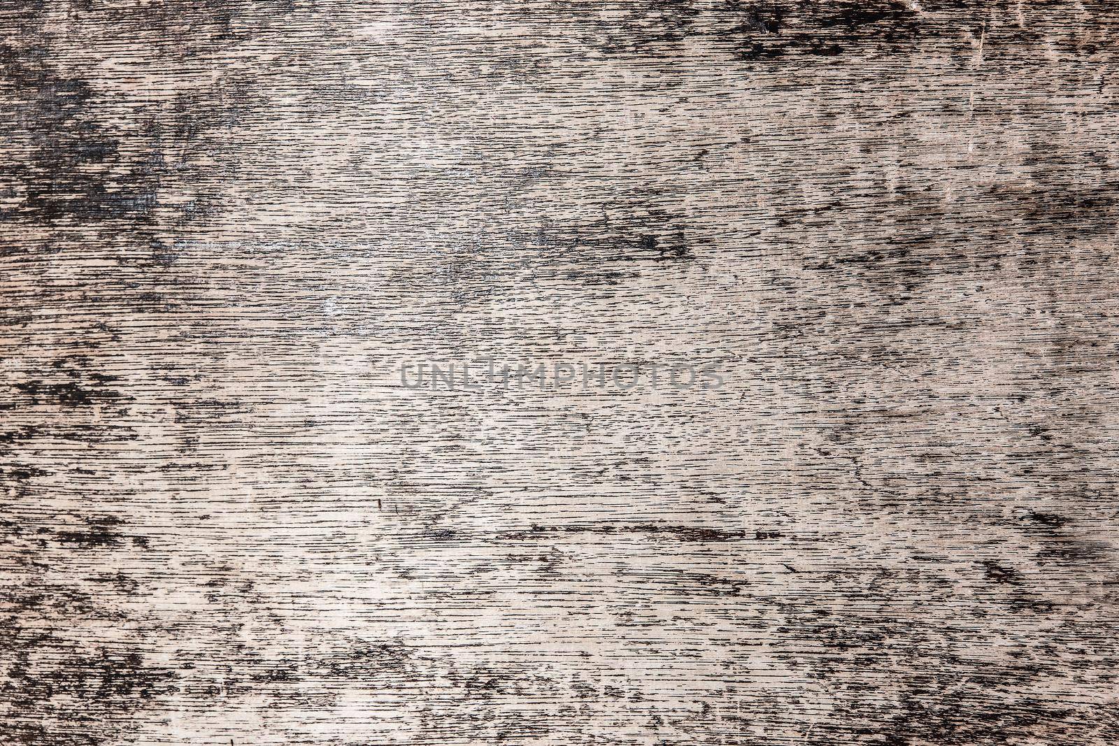 Wooden background texture - wood surface