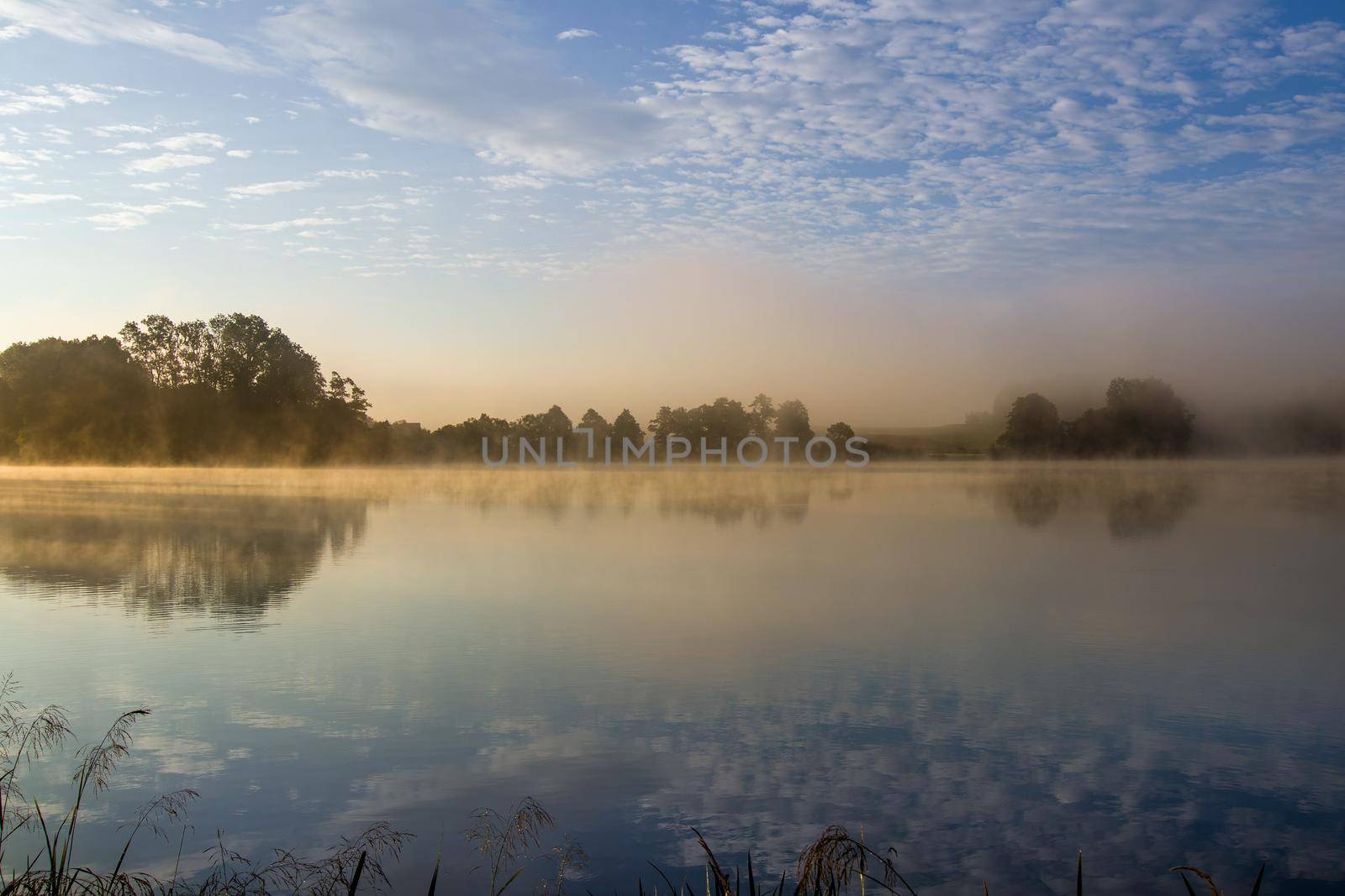 Early summer morning at the pond with a film of mist