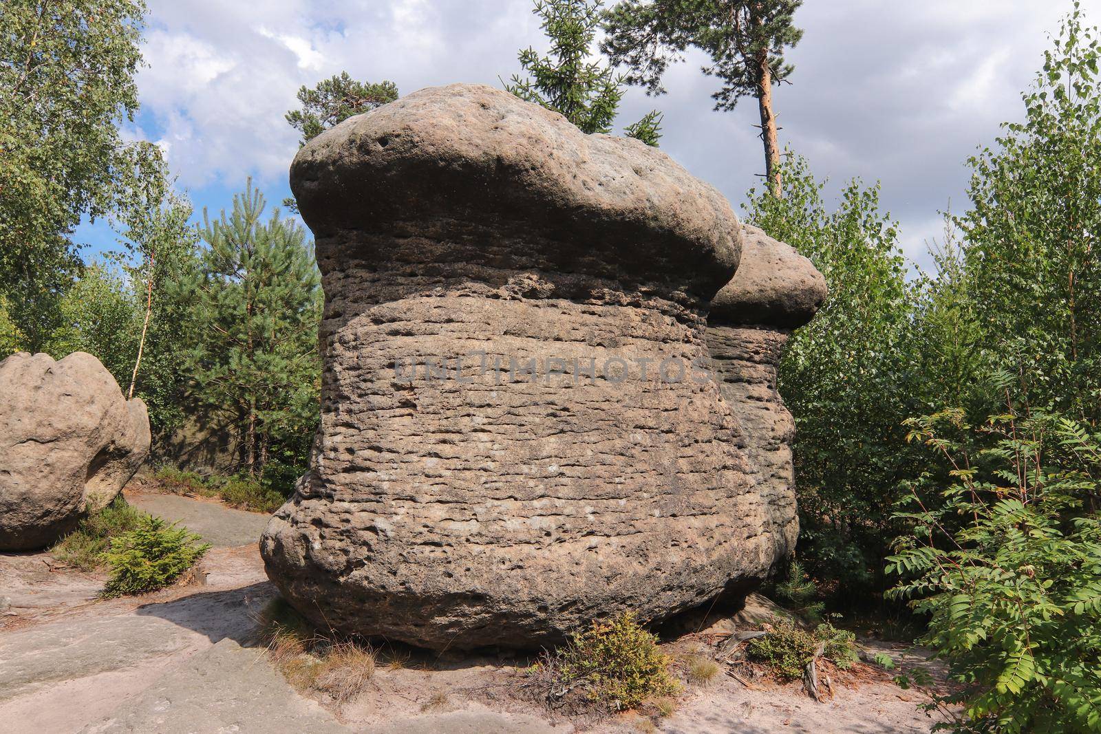 Rock mushrooms - bizarre rock formations, Broumov Walls by Mibuch