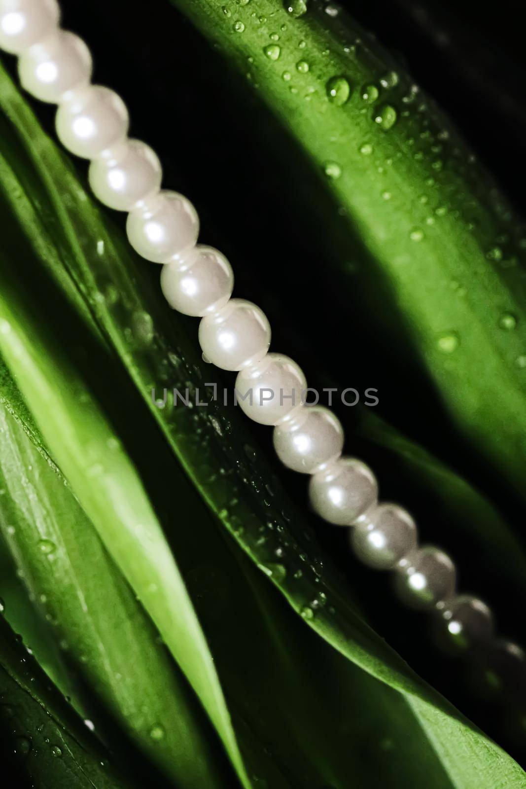 Pearls in exotic green leaves, luxury jewellery by Anneleven