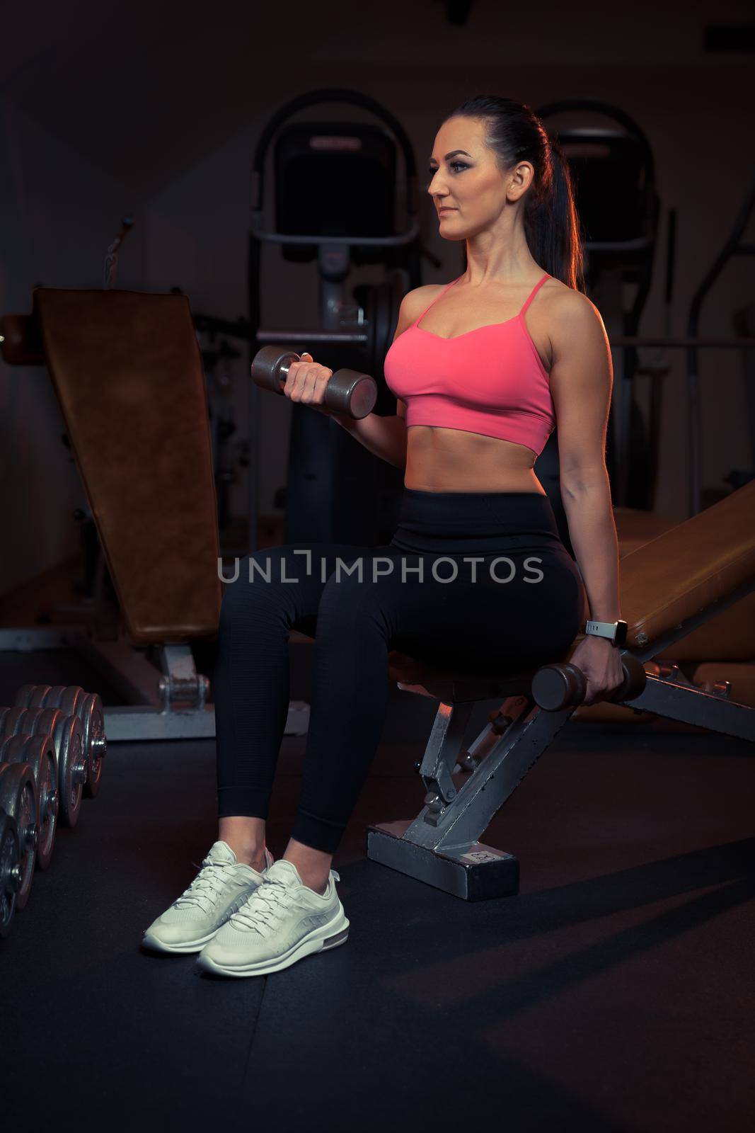 young attractive girl exercising with dumbbells in the gym by Edophoto