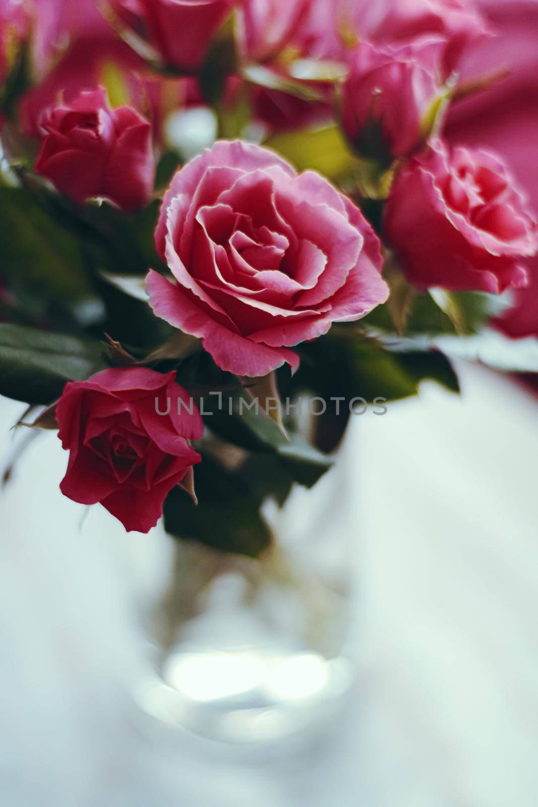 Romantic bouquet of roses, holiday gift and floral beauty closeup