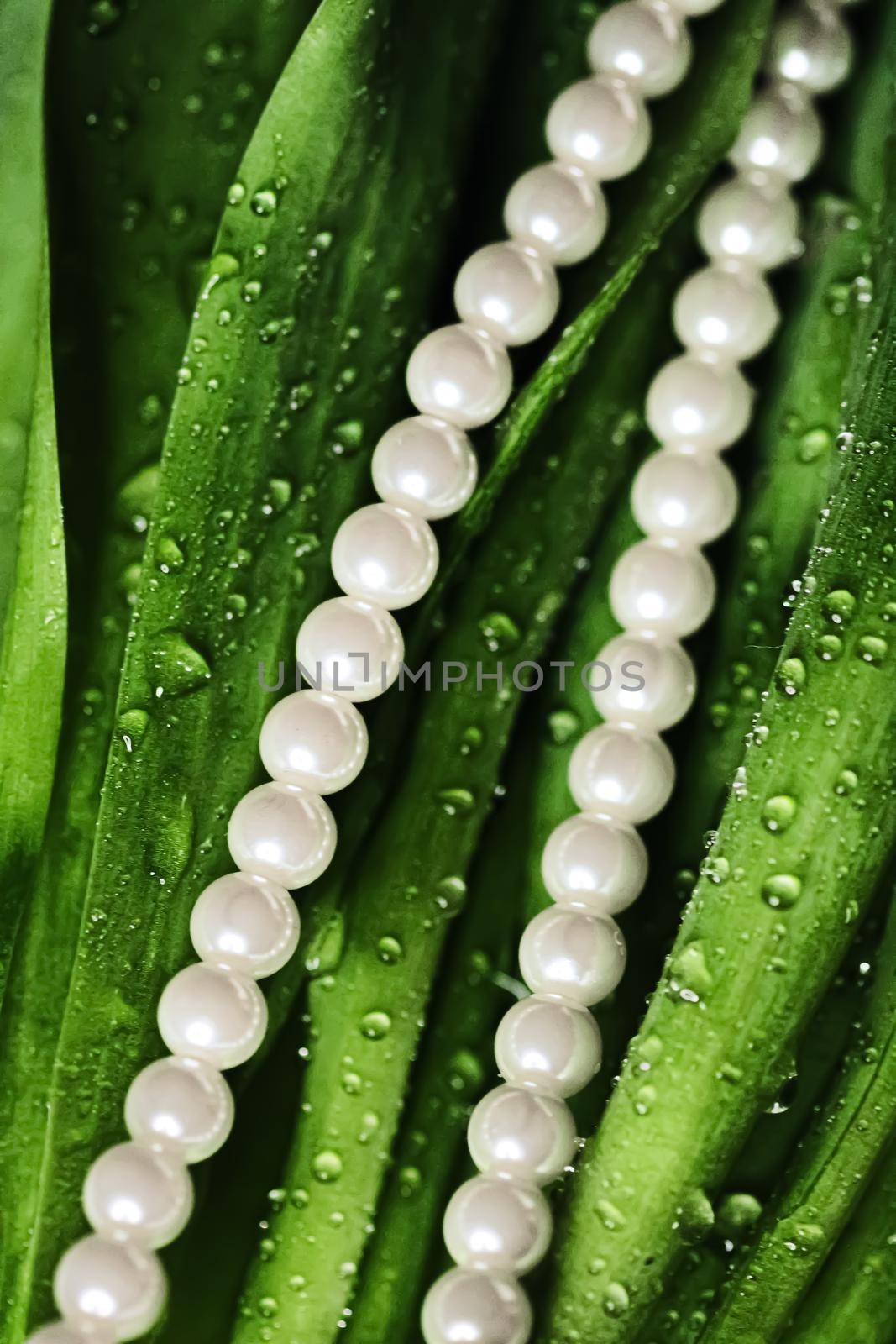 Pearls in exotic green leaves, luxury jewellery closeup