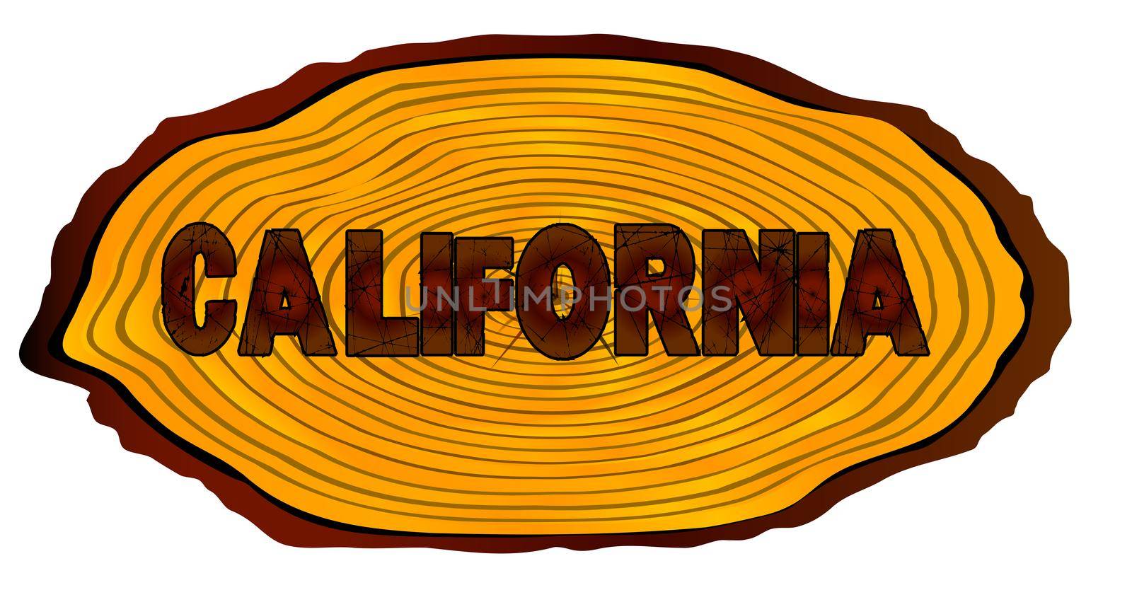 A section of a sawn log with the words CALIFORNIA over a white background