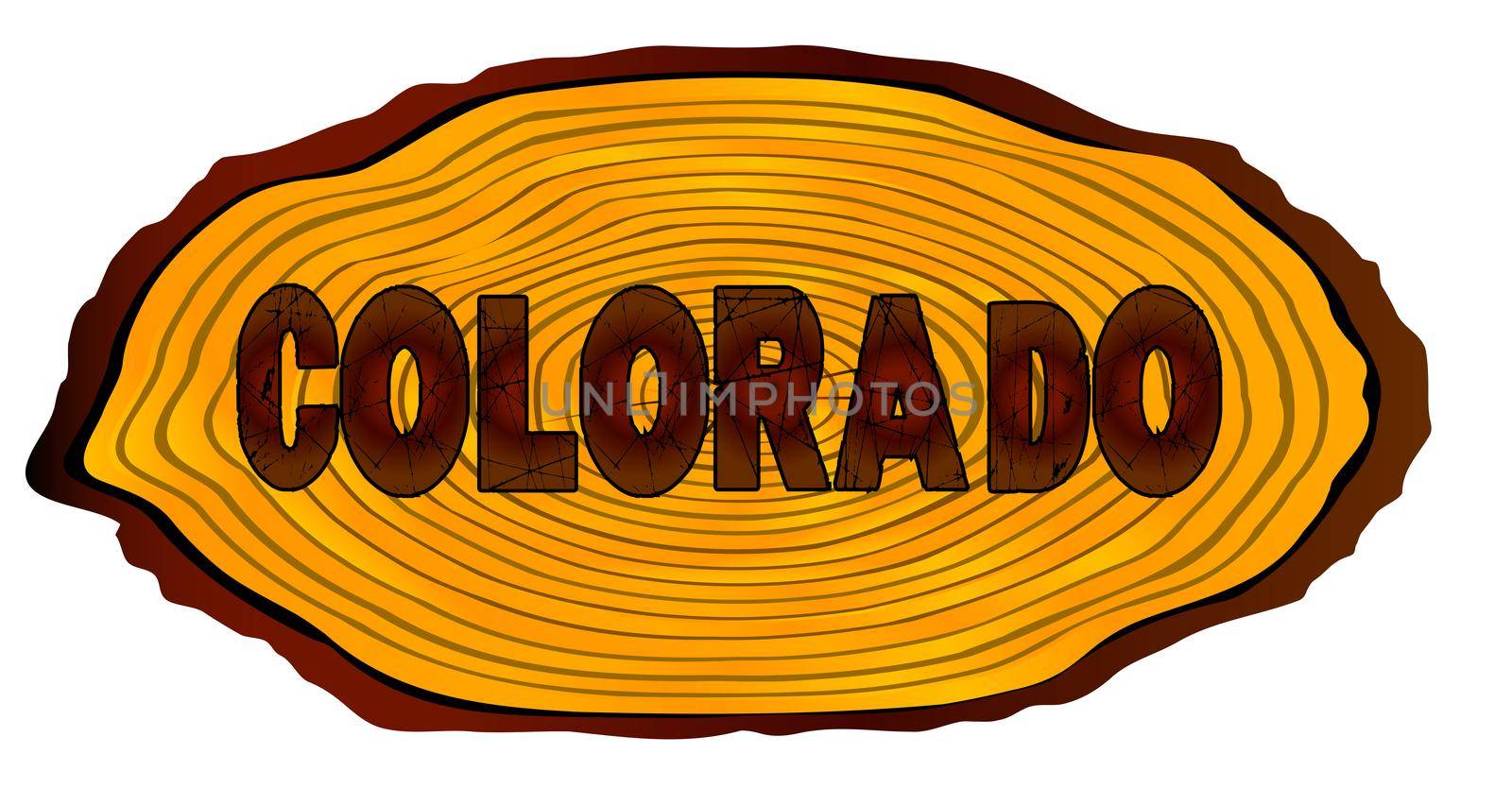 A section of a sawn log with the words COLORADO over a white background
