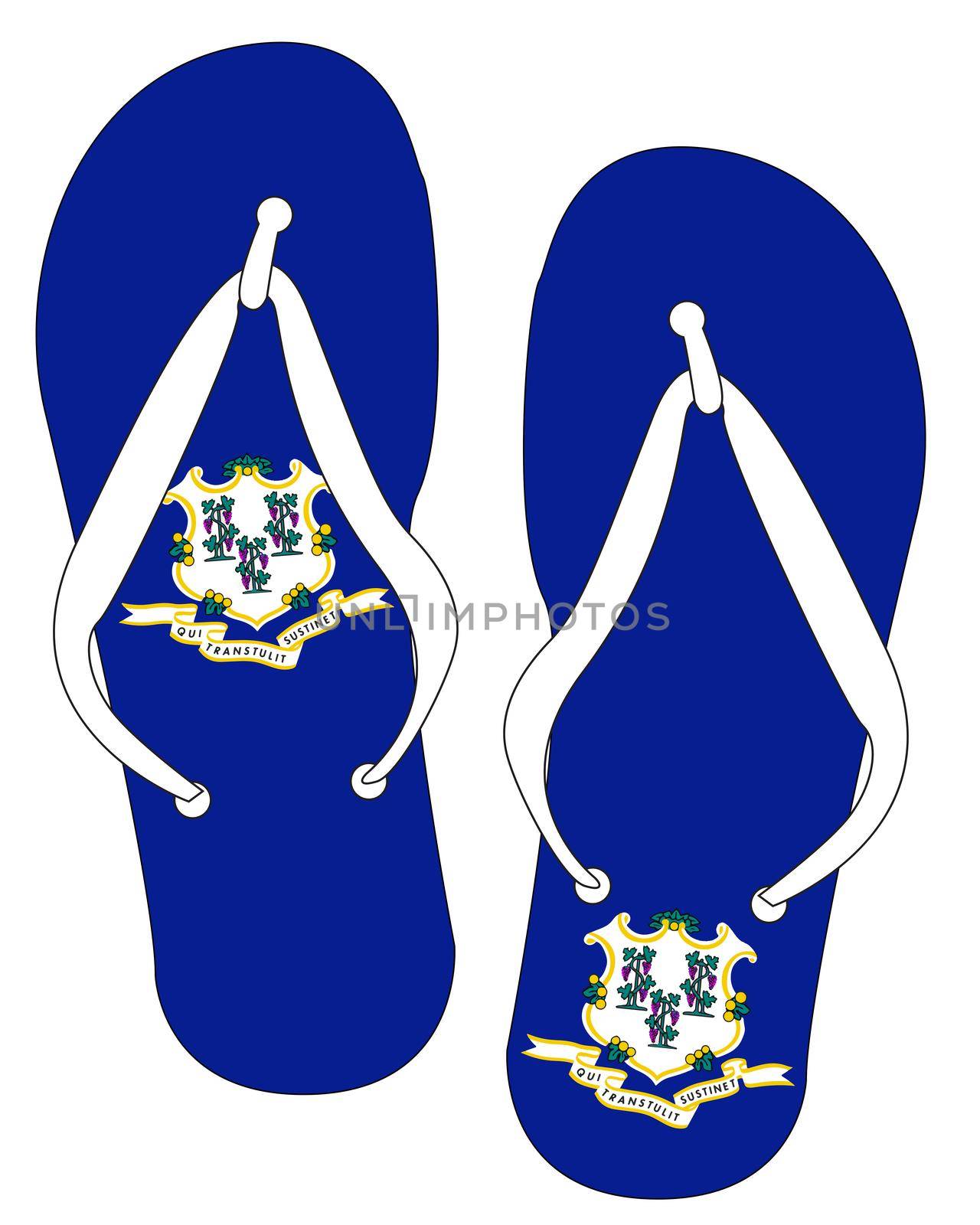 Connecticut State Flag Flip Flop Shoes by Bigalbaloo