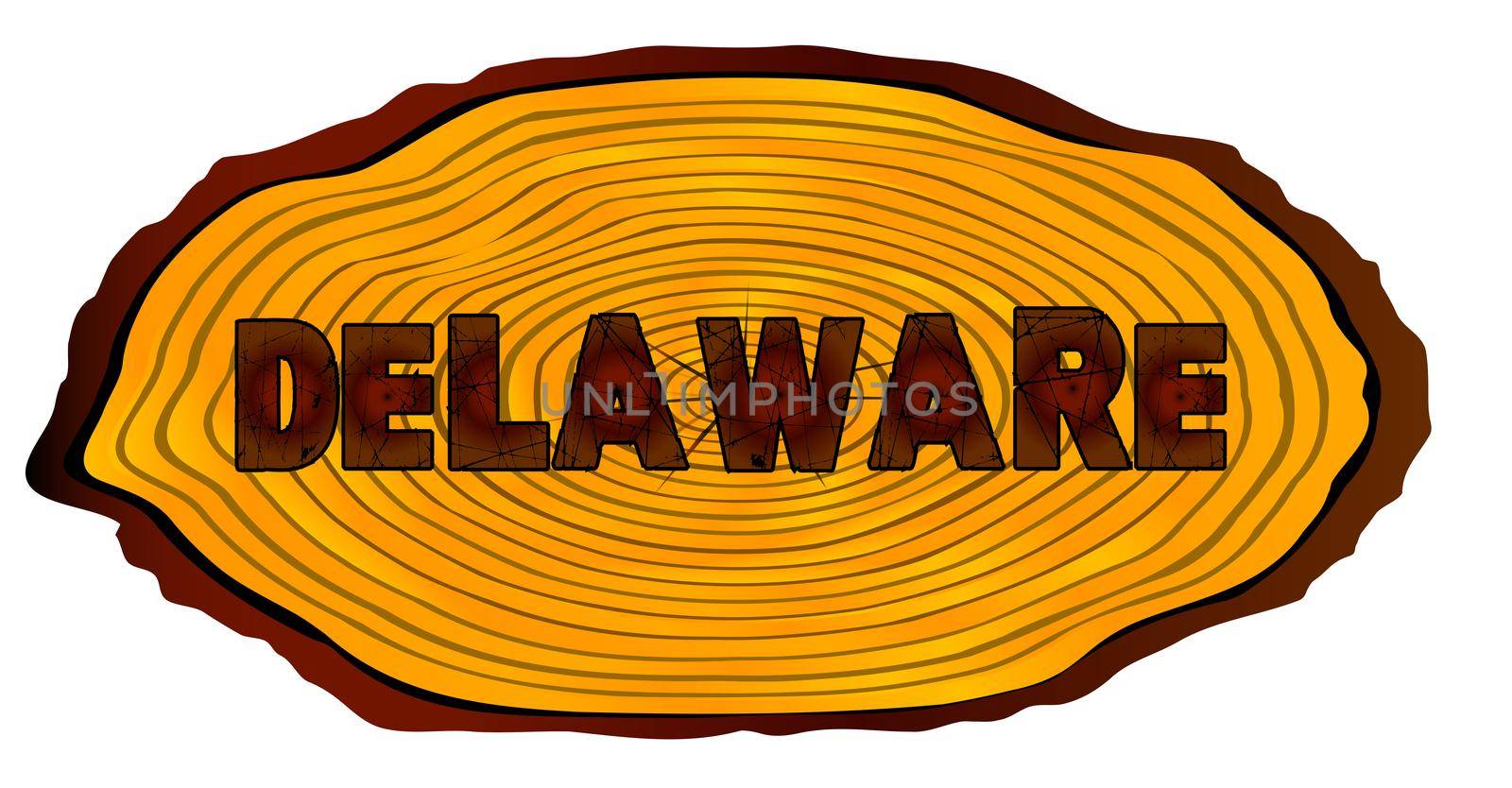 A section of a sawn log with the words DELAWARE over a white background