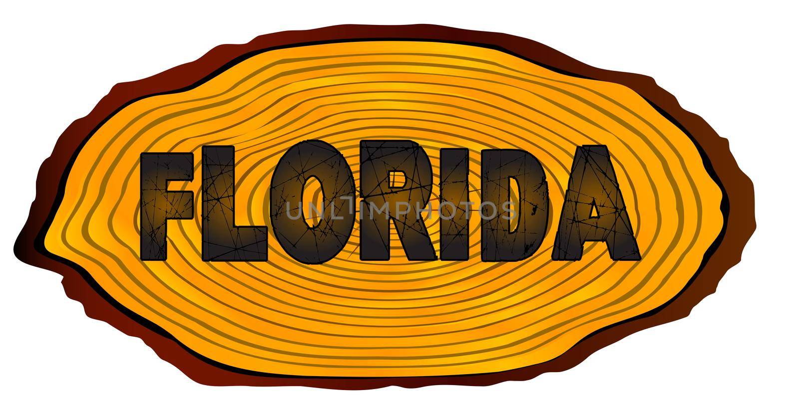 A section of a sawn log with the words FLORIDA over a white background