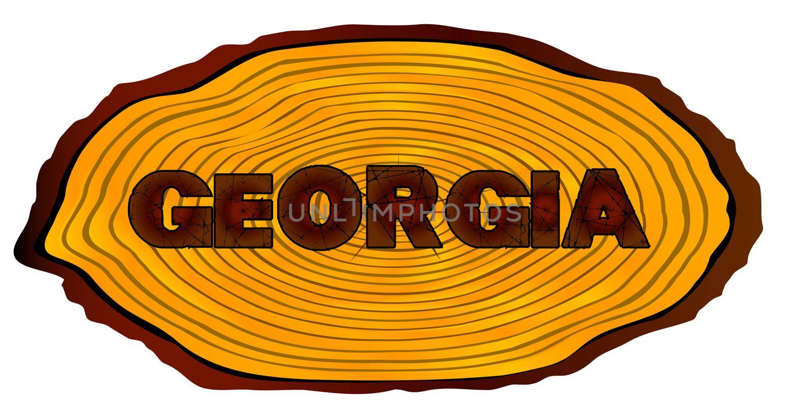A section of a sawn log with the words GEORGIA over a white background