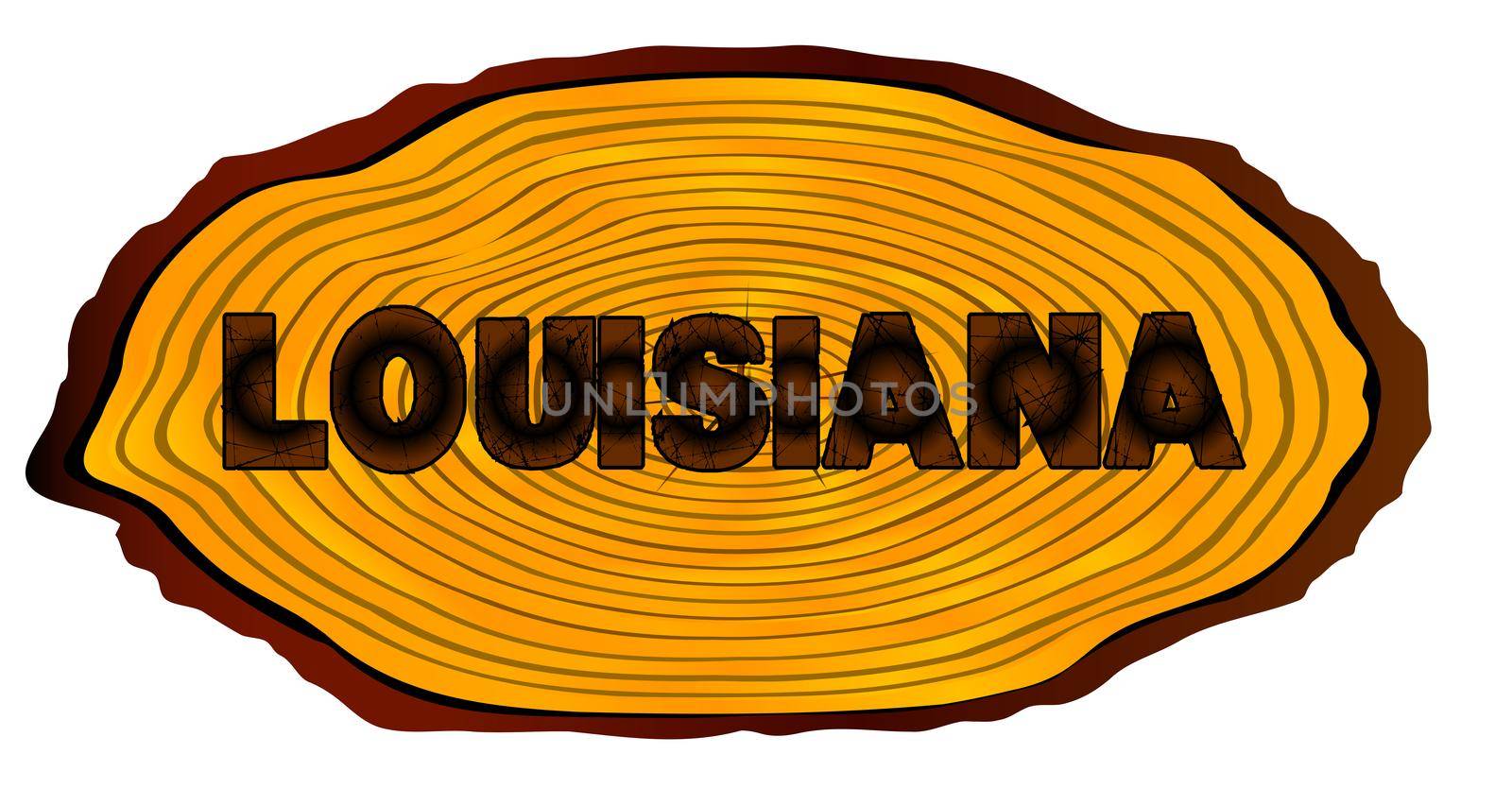 A section of a sawn log with the words LOUISIANA over a white background