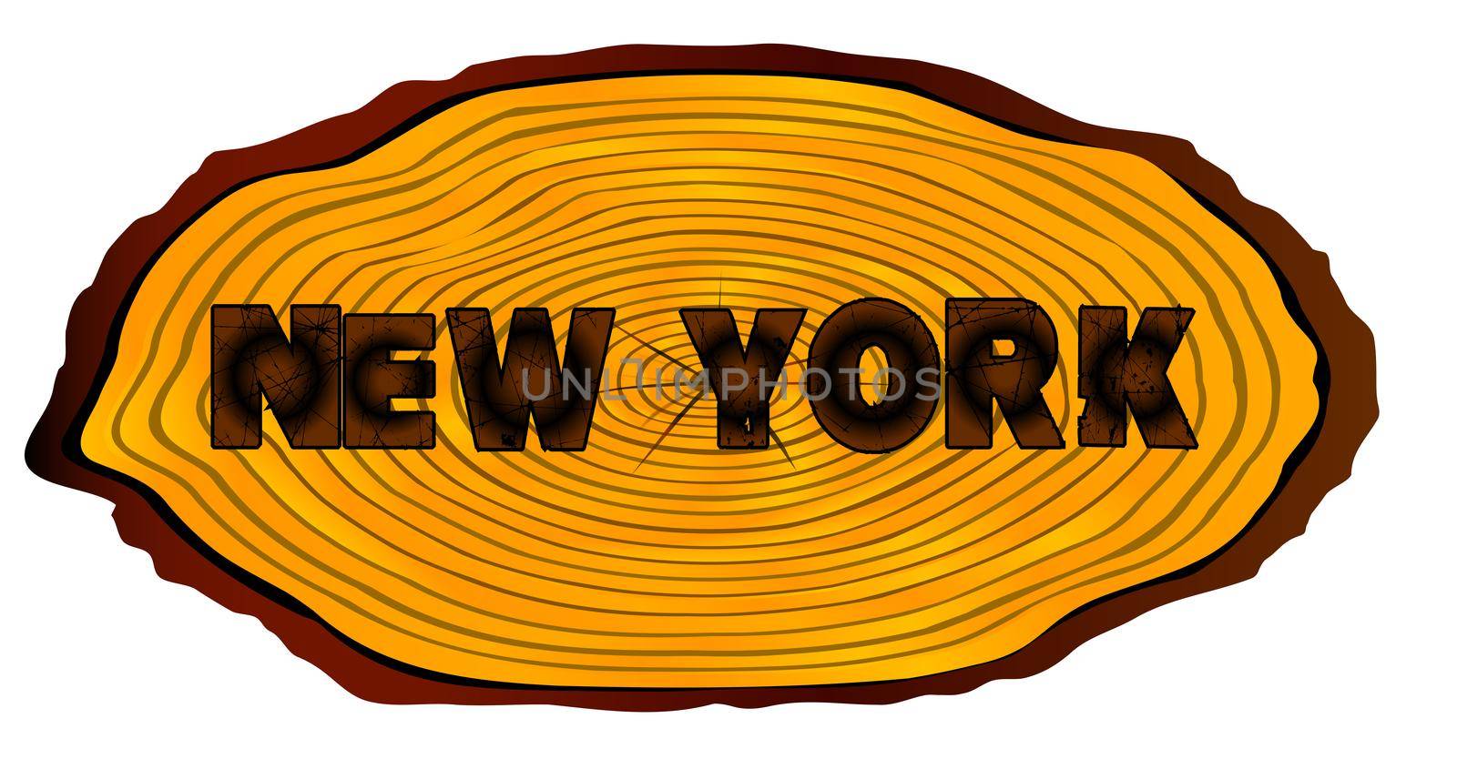 A section of a sawn log with the words NEW YORK over a white background